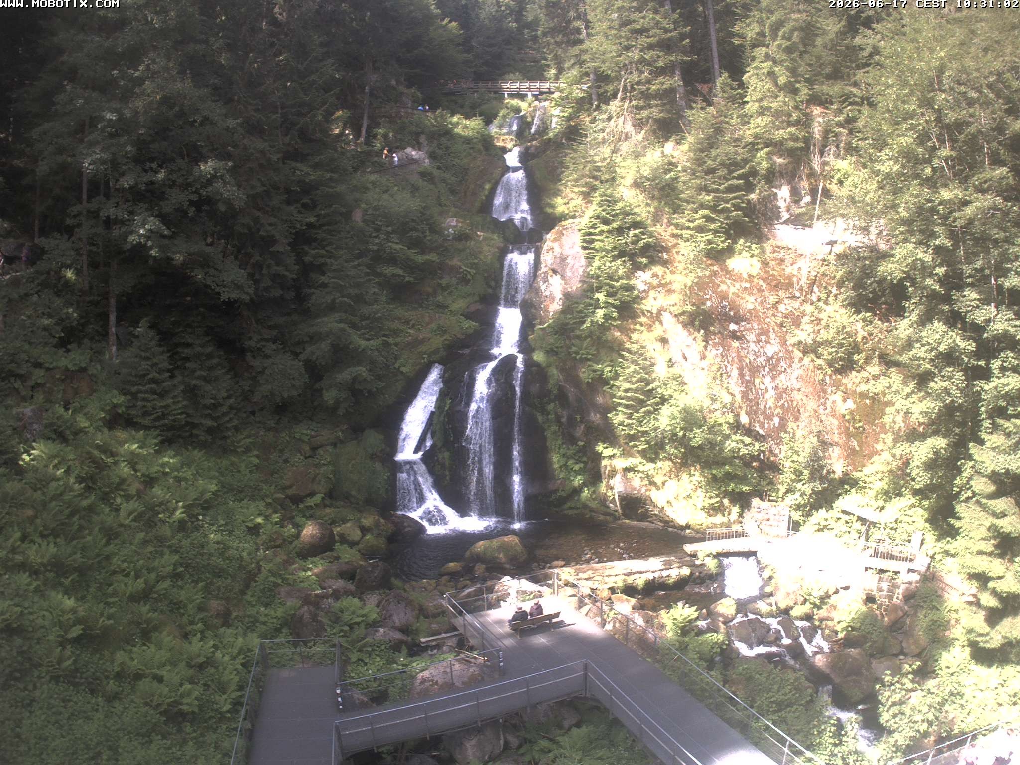 Archiv Foto Webcam Triberg Wasserfälle im Schwarzwald