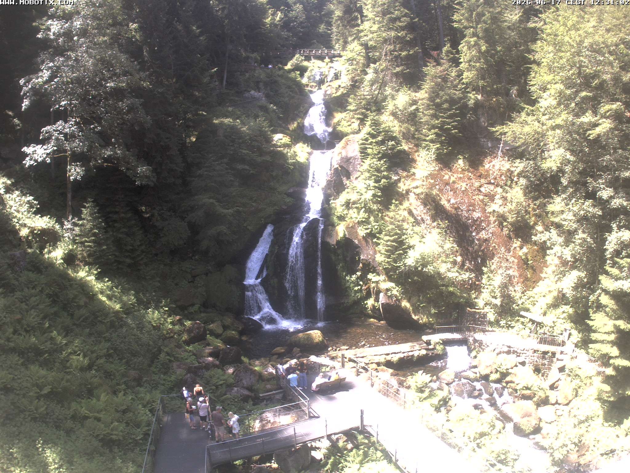 Archiv Foto Webcam Triberg Wasserfälle im Schwarzwald
