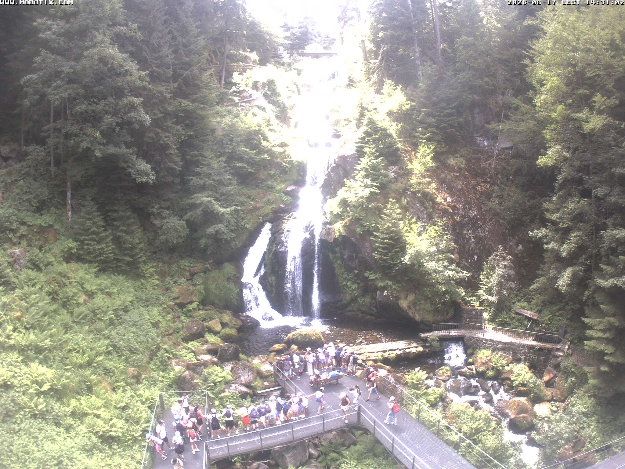 Archiv Foto Webcam Triberg Wasserfälle im Schwarzwald
