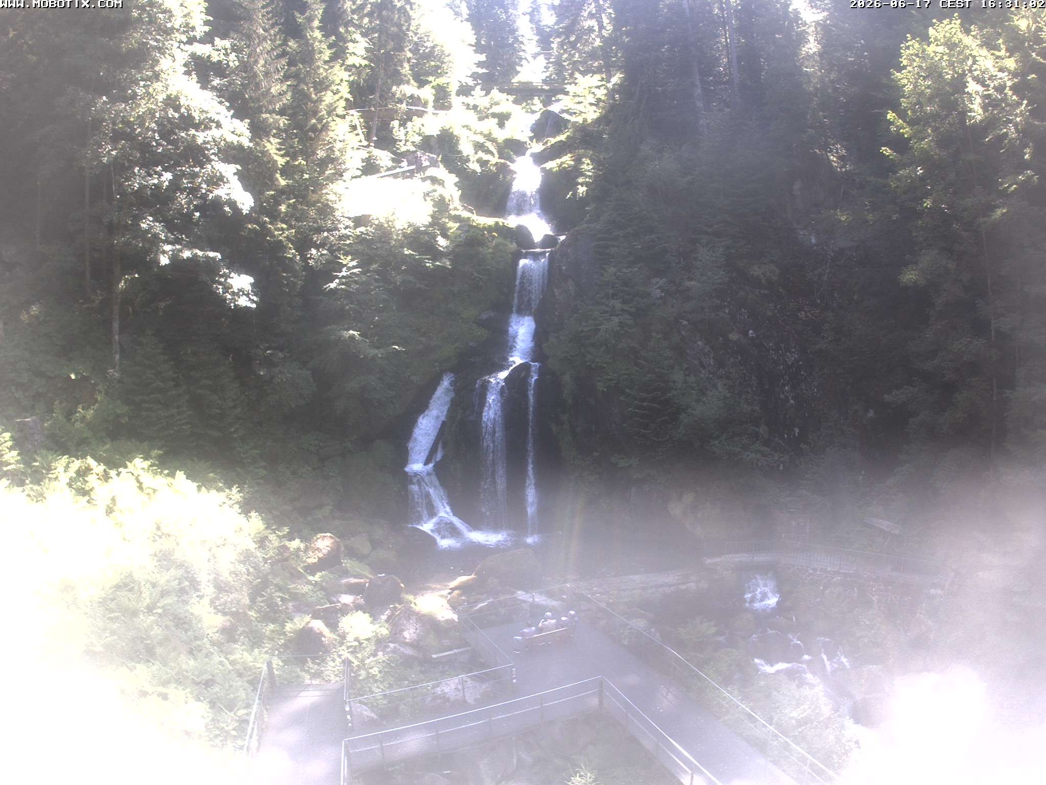 Archiv Foto Webcam Triberg Wasserfälle im Schwarzwald