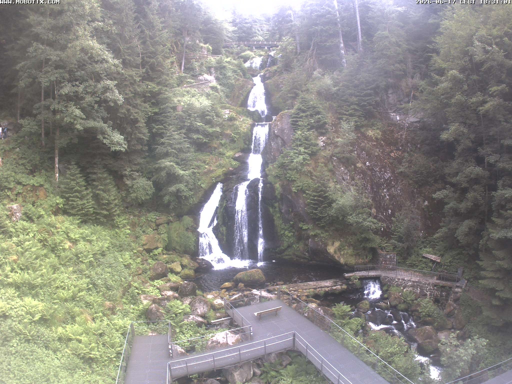 Archiv Foto Webcam Triberg Wasserfälle im Schwarzwald