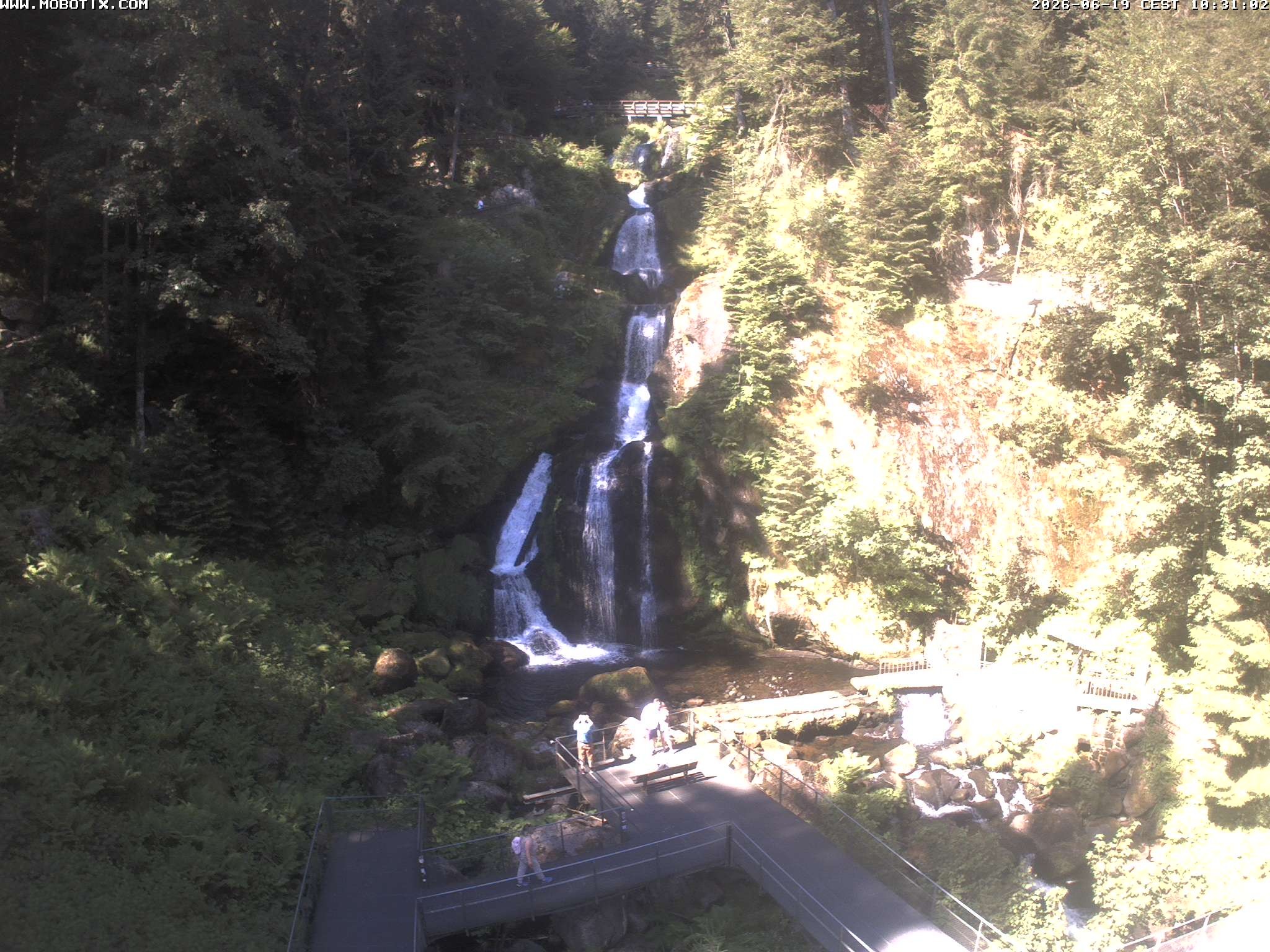 Archiv Foto Webcam Triberg Wasserfälle im Schwarzwald