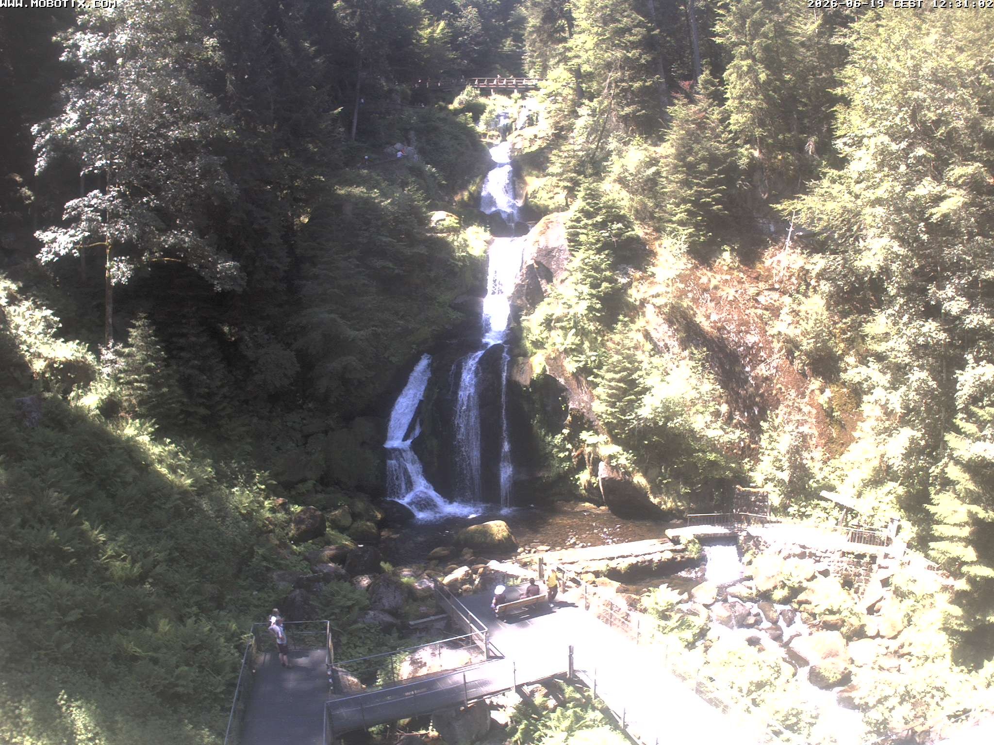 Archiv Foto Webcam Triberg Wasserfälle im Schwarzwald