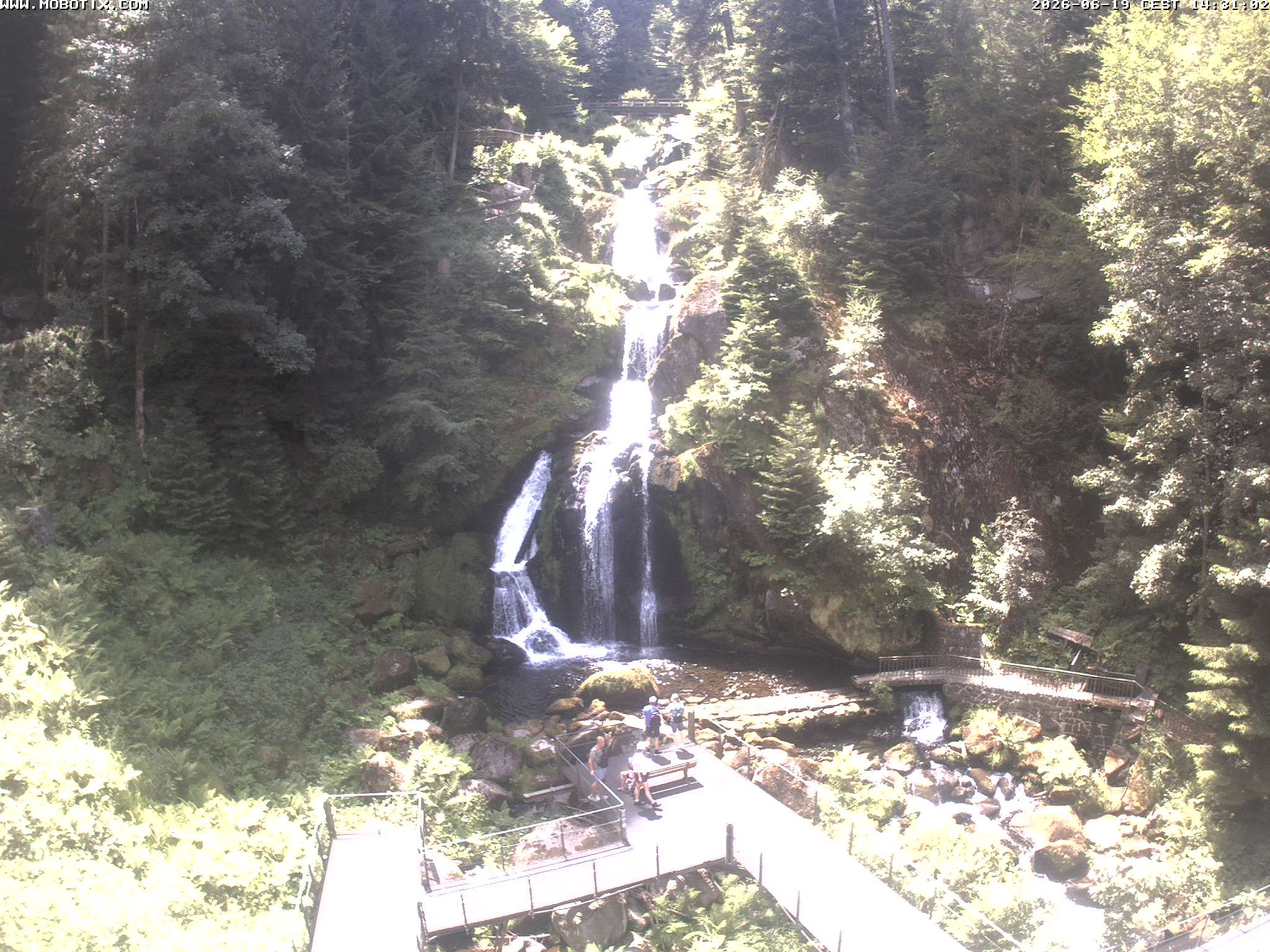 Archiv Foto Webcam Triberg Wasserfälle im Schwarzwald
