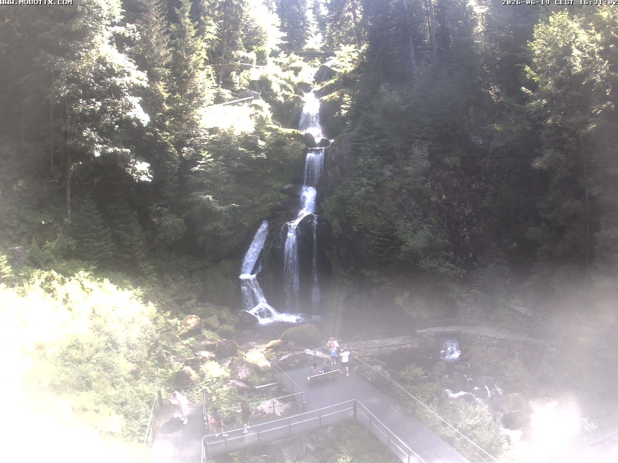 Archiv Foto Webcam Triberg Wasserfälle im Schwarzwald
