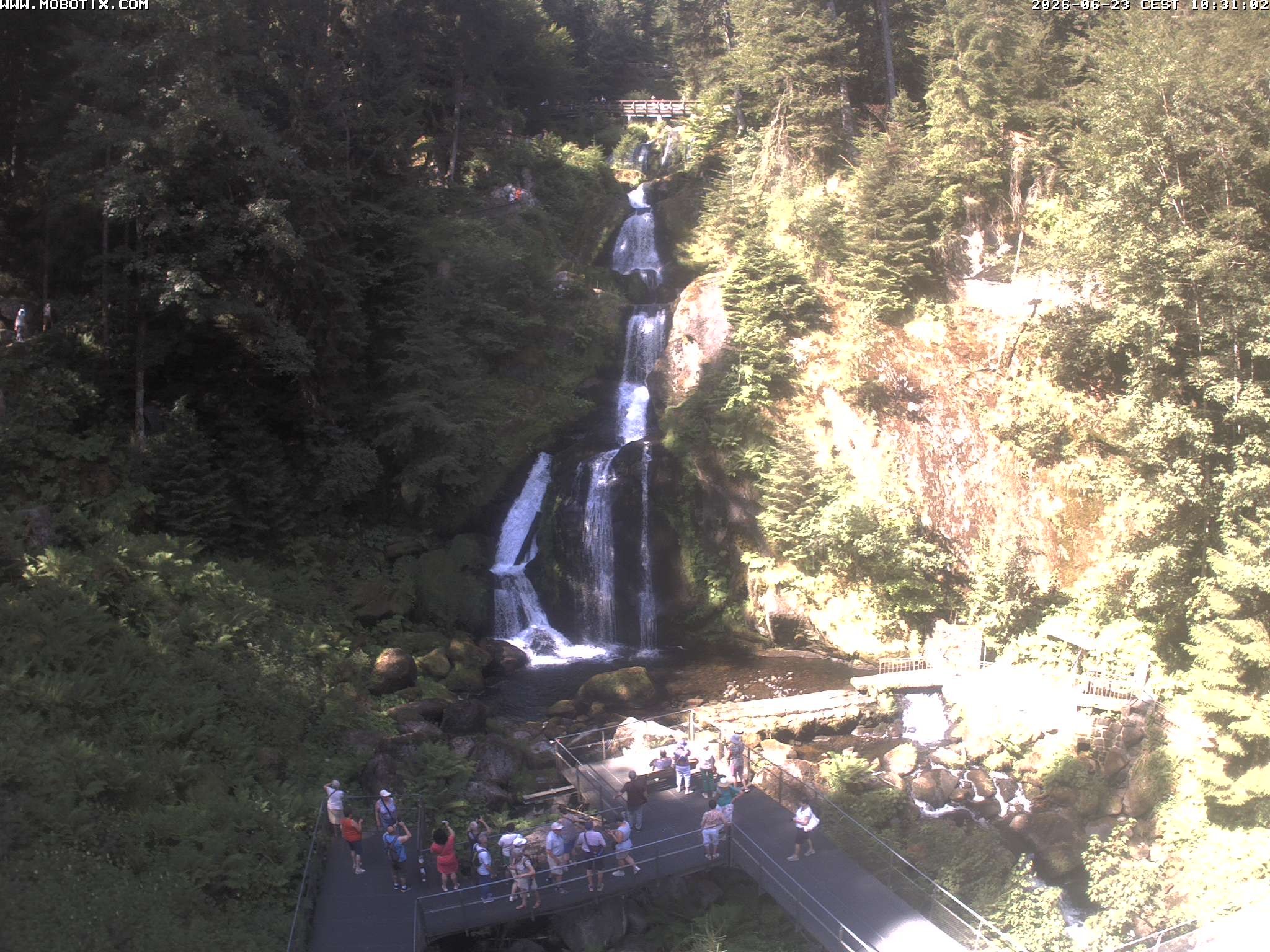 Archiv Foto Webcam Triberg Wasserfälle im Schwarzwald