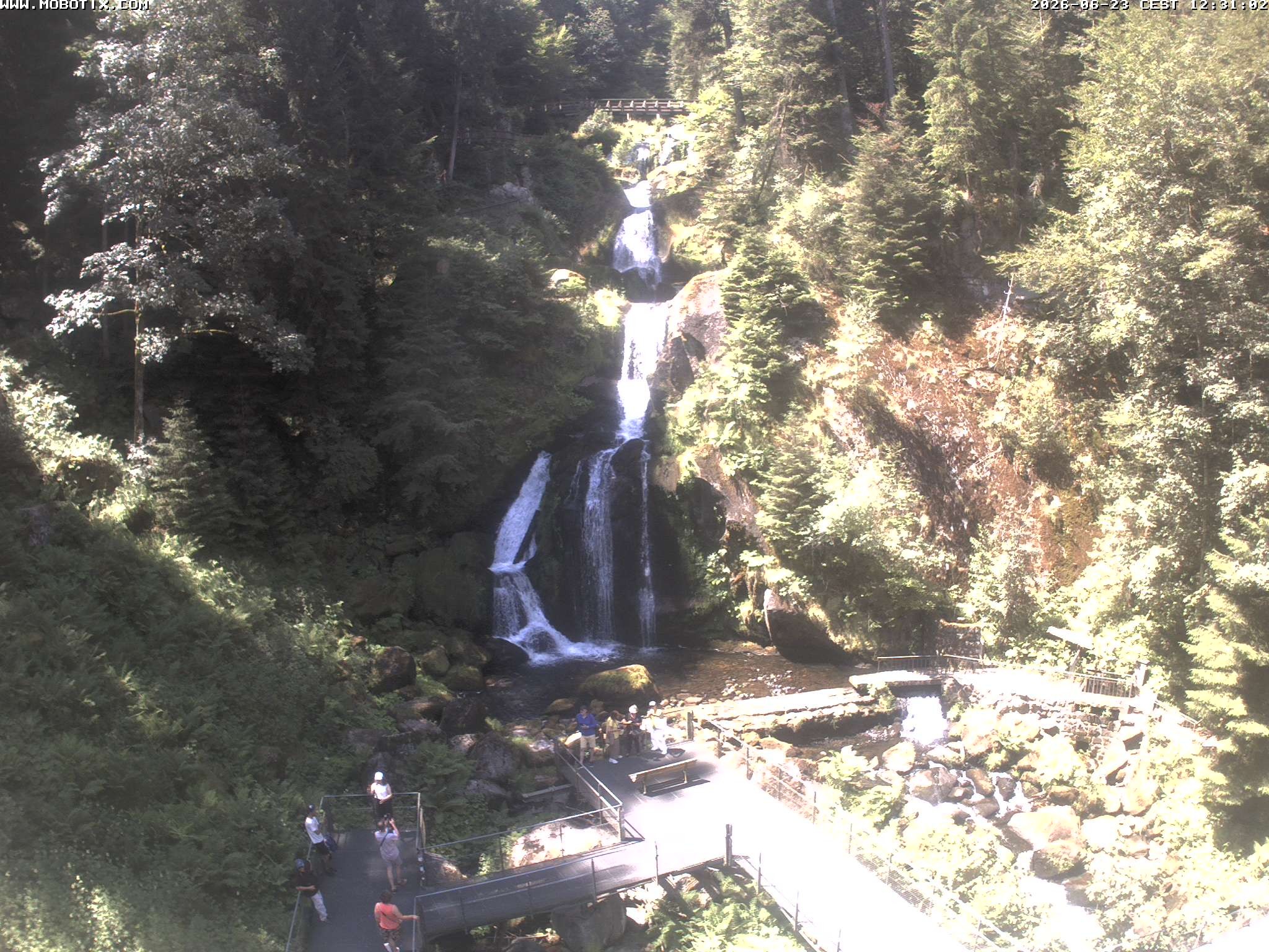Archiv Foto Webcam Triberg Wasserfälle im Schwarzwald