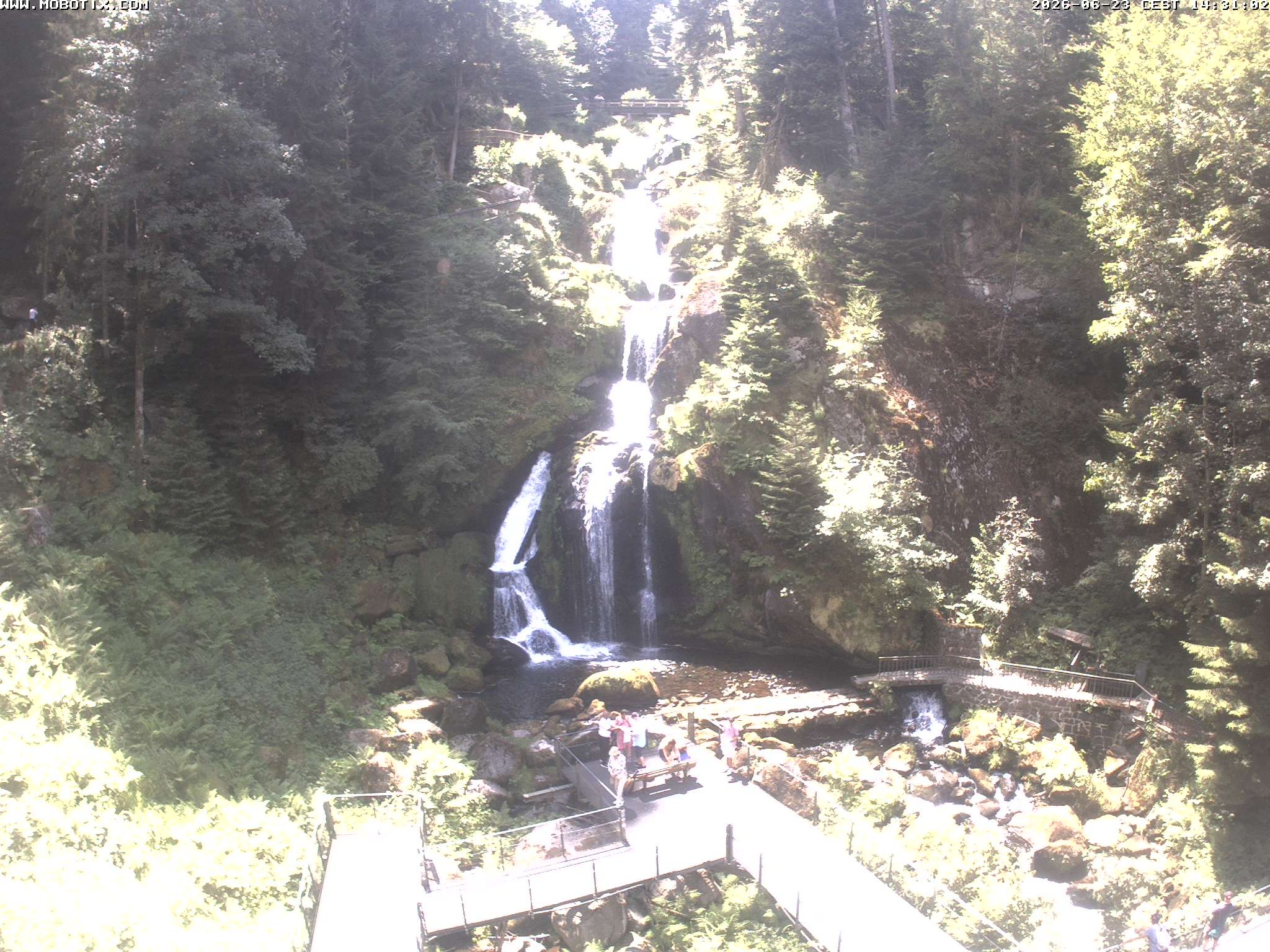 Archiv Foto Webcam Triberg Wasserfälle im Schwarzwald
