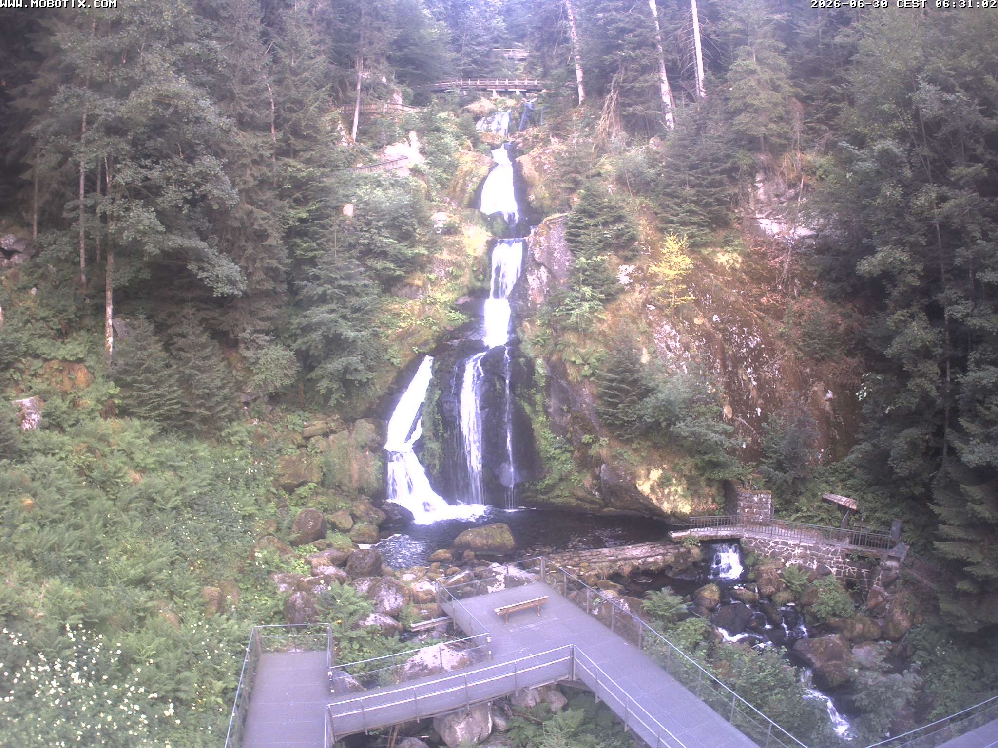 Archiv Foto Webcam Triberg Wasserfälle im Schwarzwald