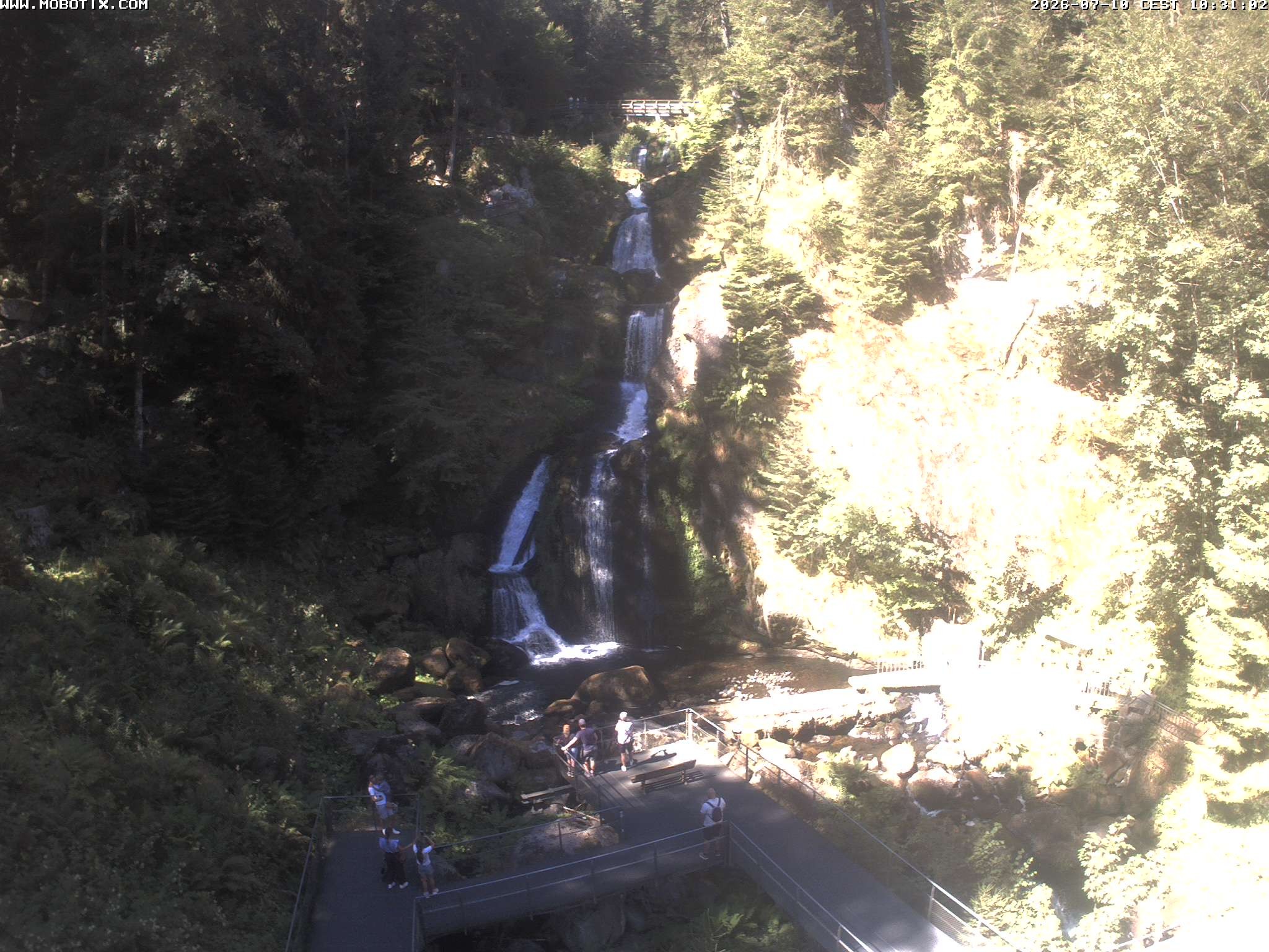 Archiv Foto Webcam Triberg Wasserfälle im Schwarzwald