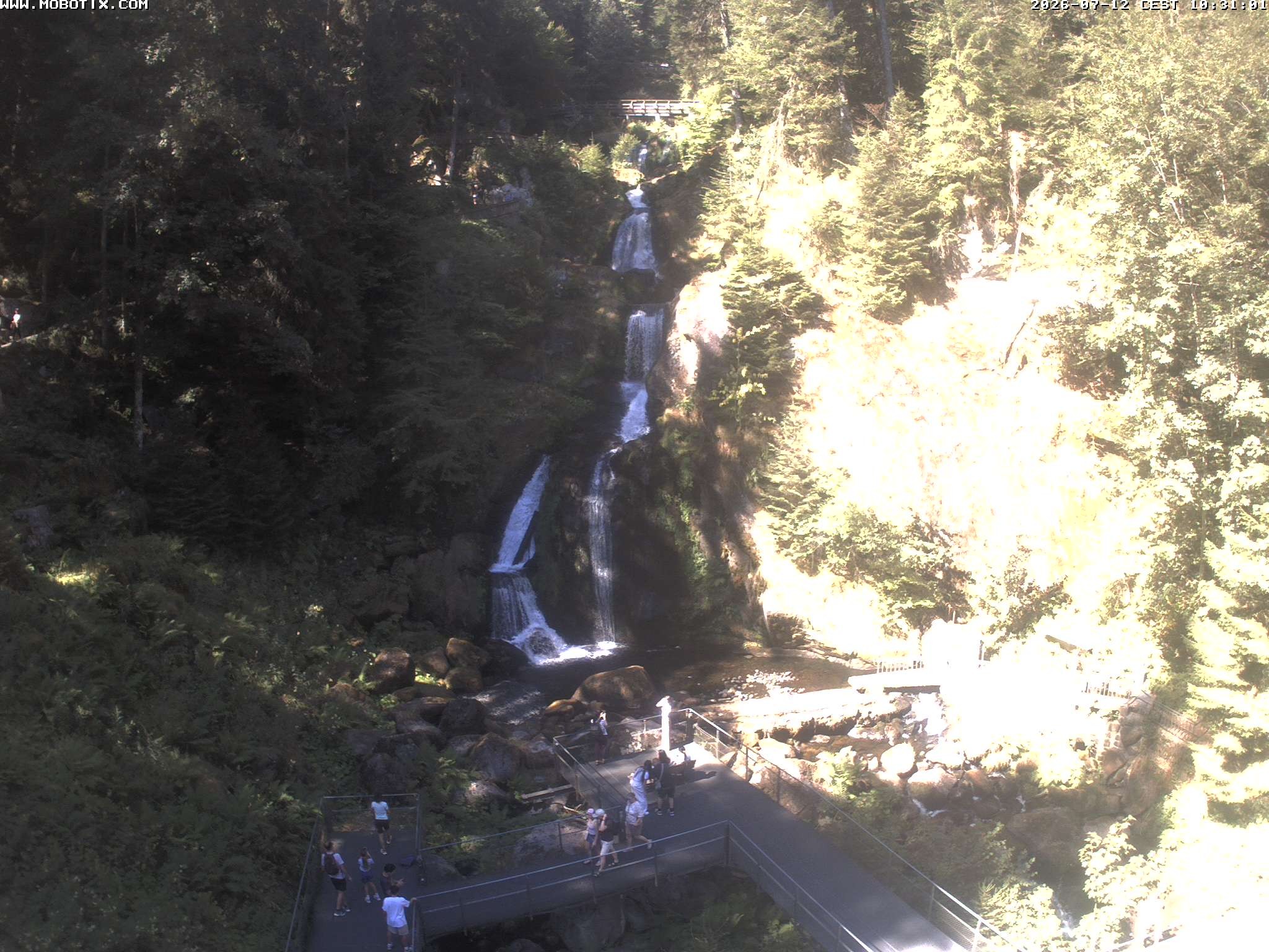 Archiv Foto Webcam Triberg Wasserfälle im Schwarzwald
