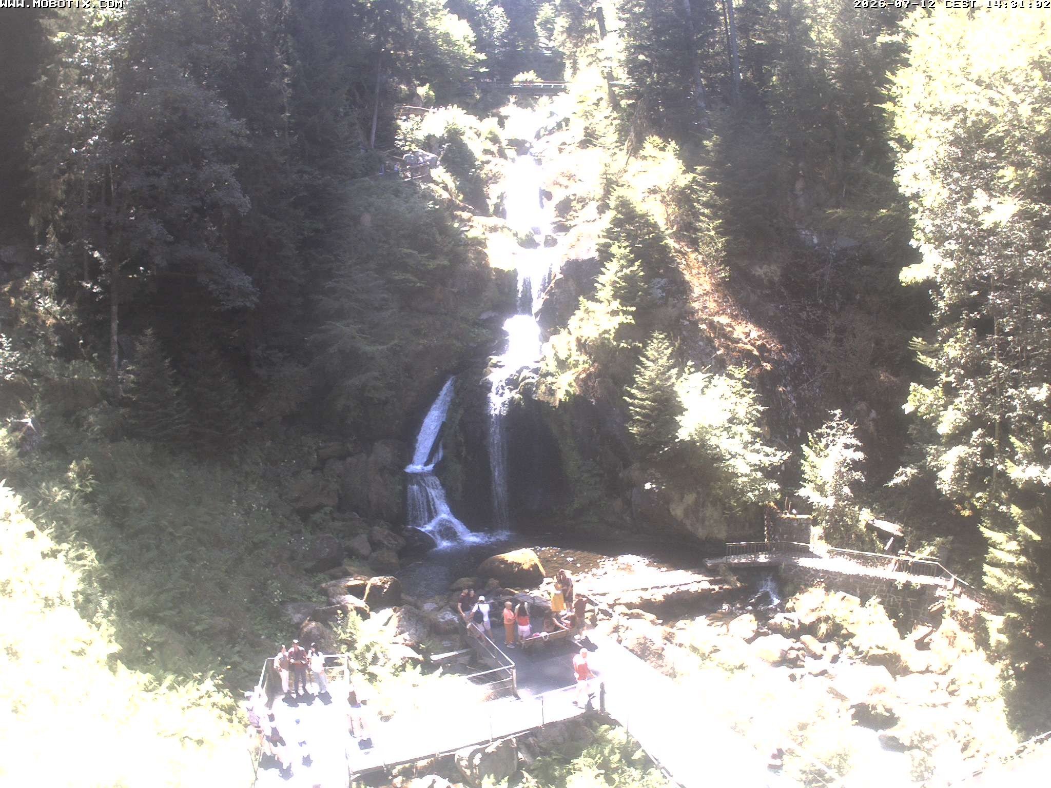 Archiv Foto Webcam Triberg Wasserfälle im Schwarzwald