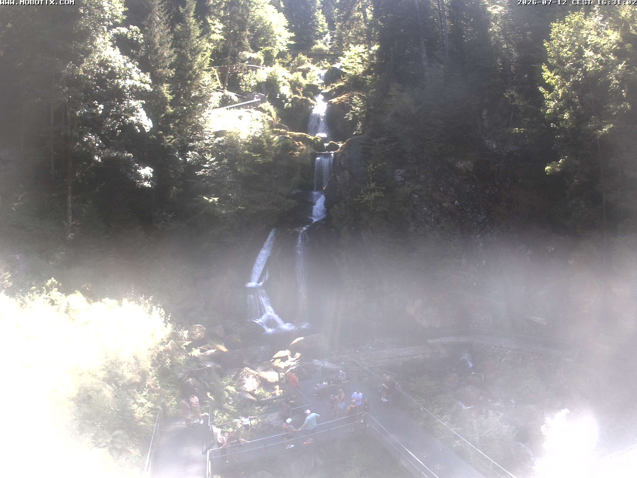 Archiv Foto Webcam Triberg Wasserfälle im Schwarzwald