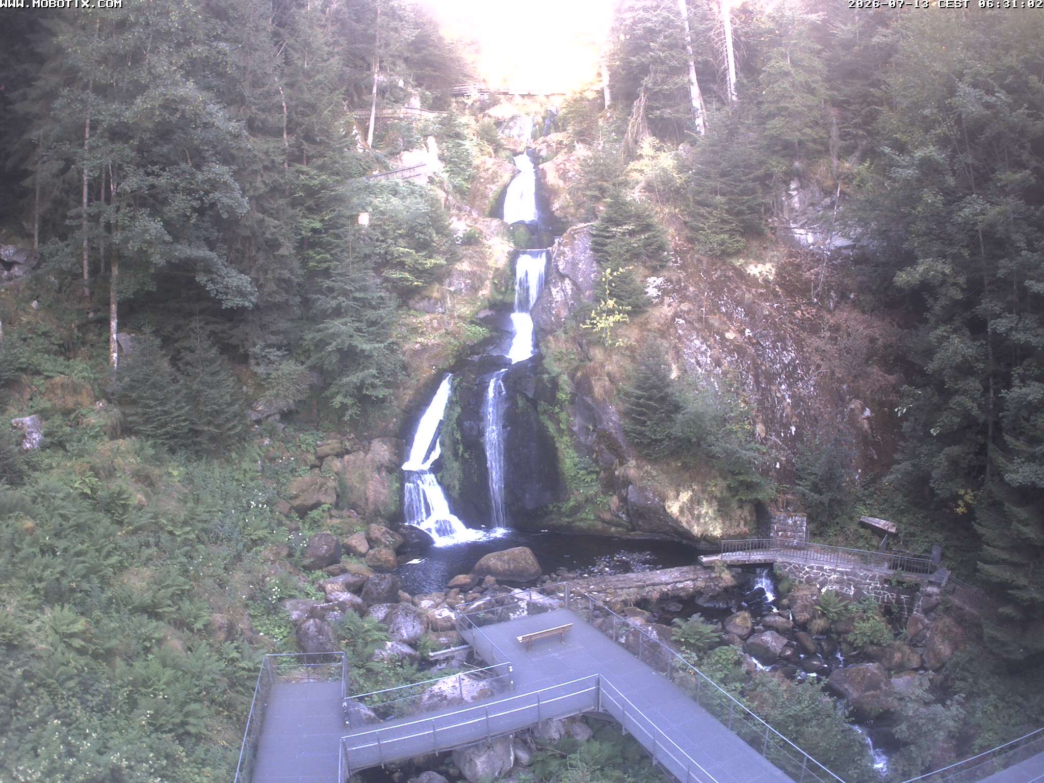 Archived image Webcam Triberg (Black Forest): Waterfalls