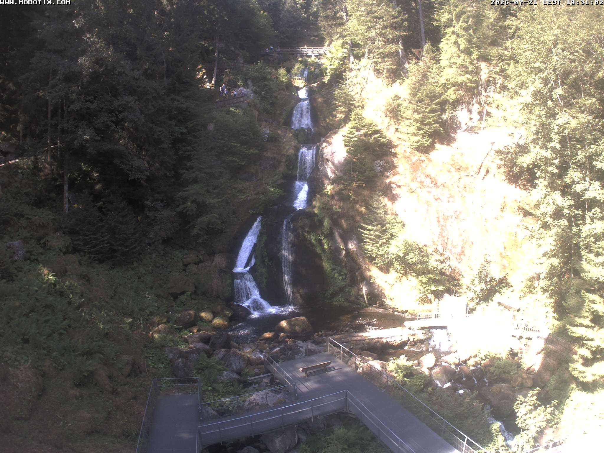Archiv Foto Webcam Triberg Wasserfälle im Schwarzwald