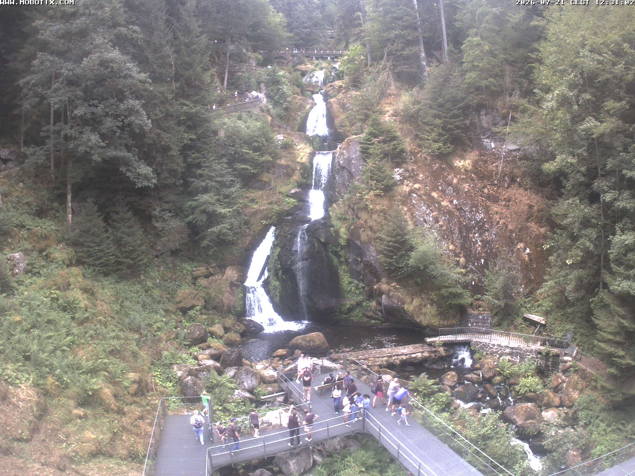 Archiv Foto Webcam Triberg Wasserfälle im Schwarzwald
