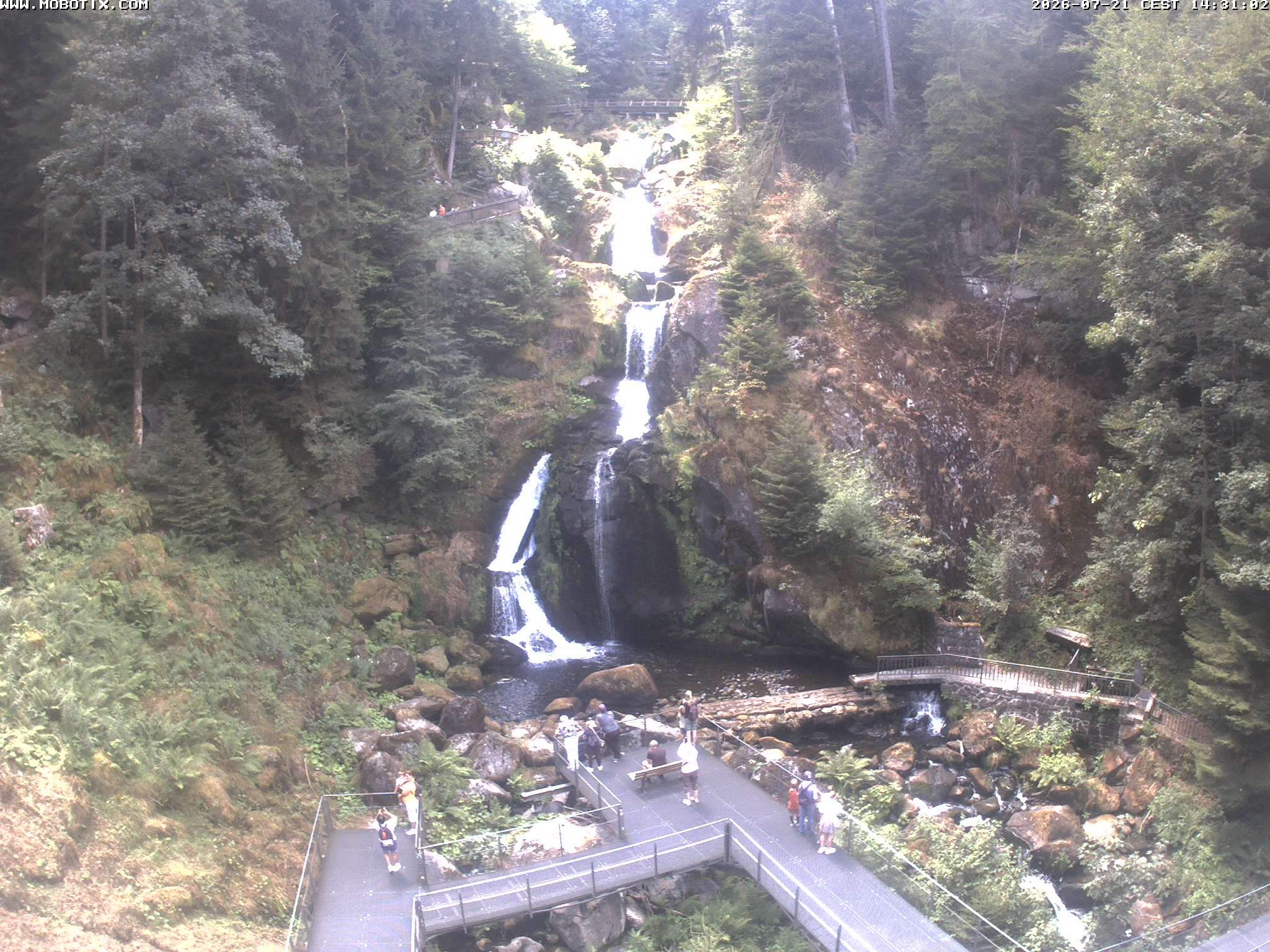 Archiv Foto Webcam Triberg Wasserfälle im Schwarzwald