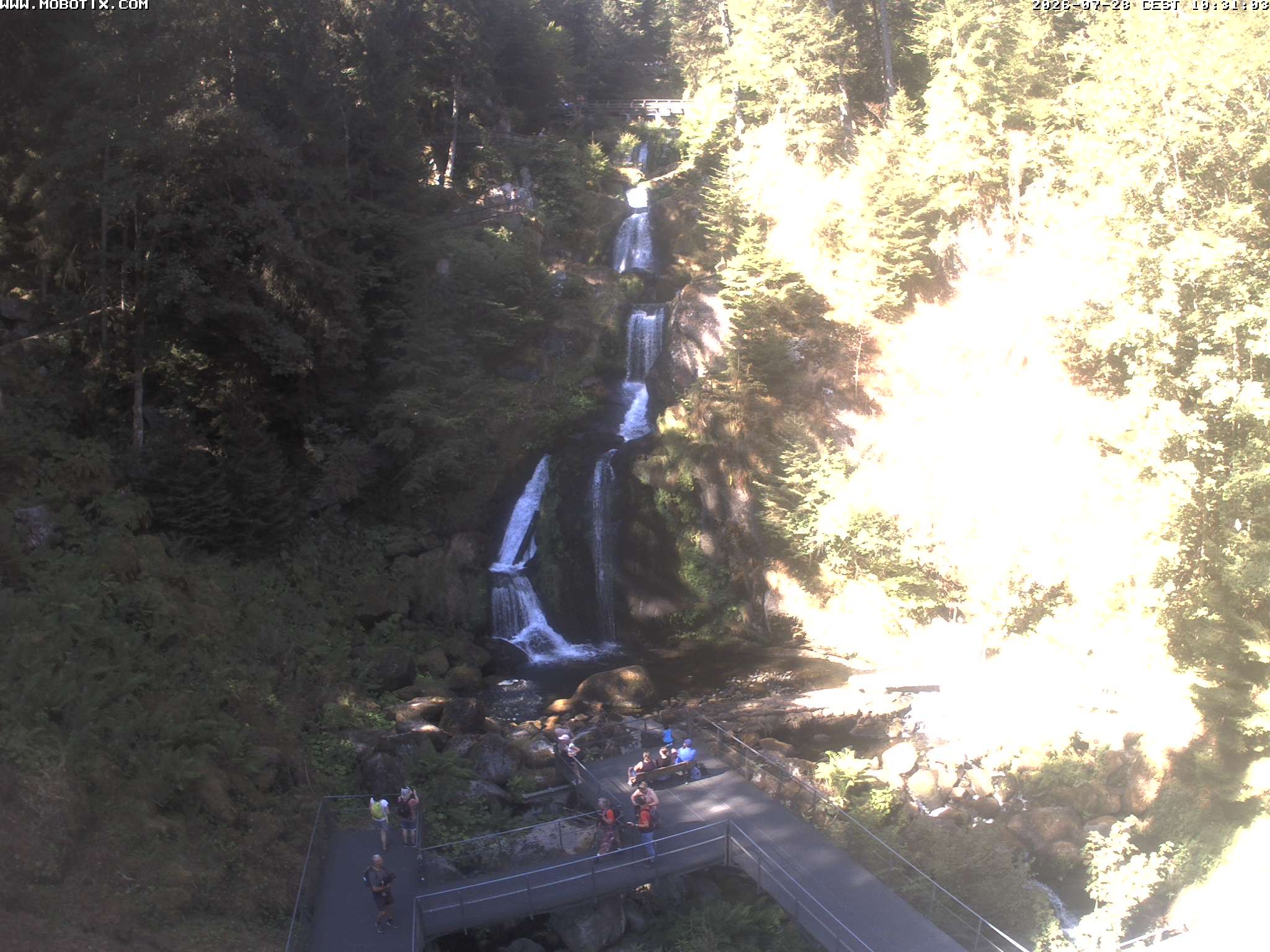 Archiv Foto Webcam Triberg Wasserfälle im Schwarzwald