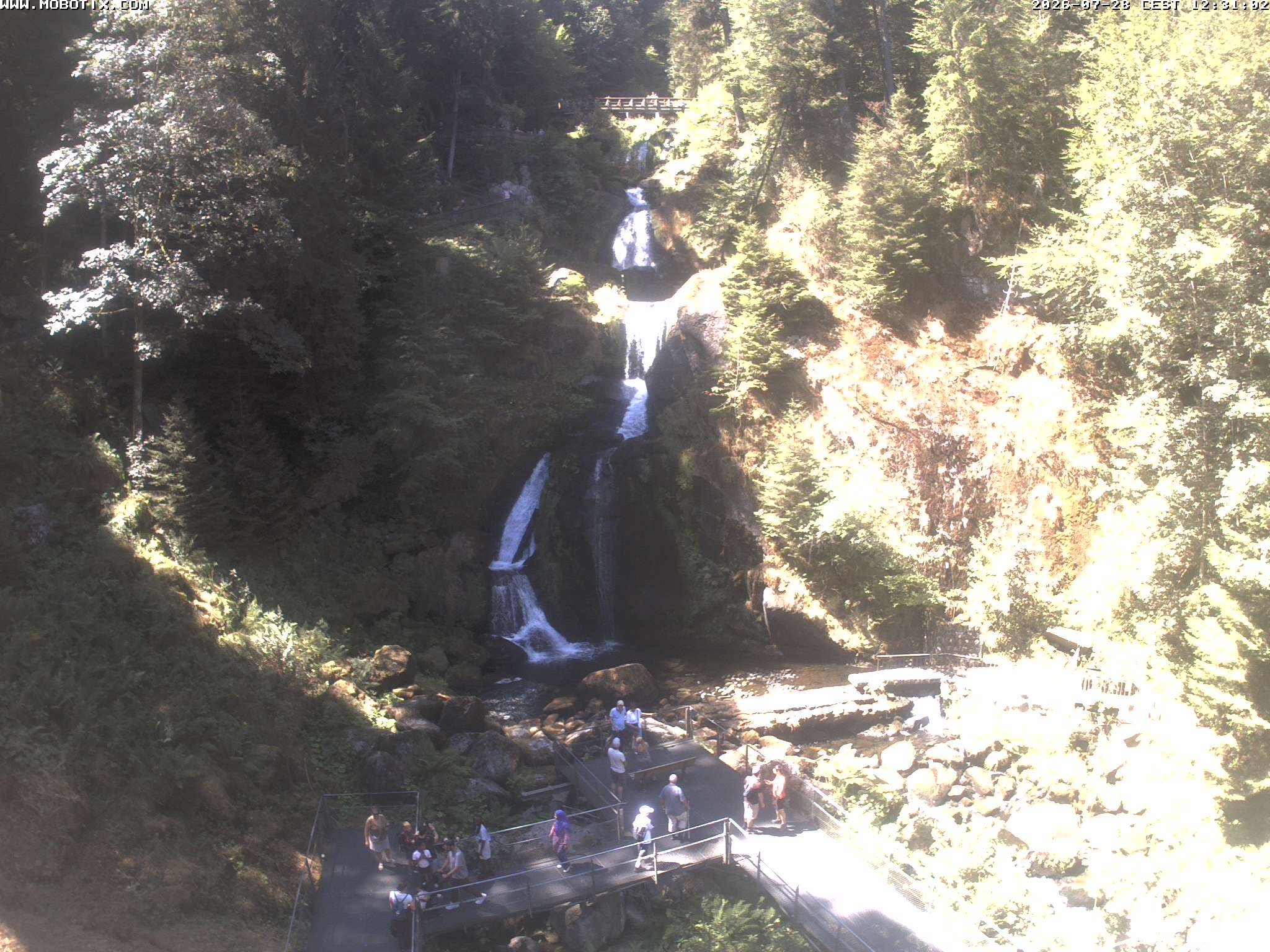 Archiv Foto Webcam Triberg Wasserfälle im Schwarzwald