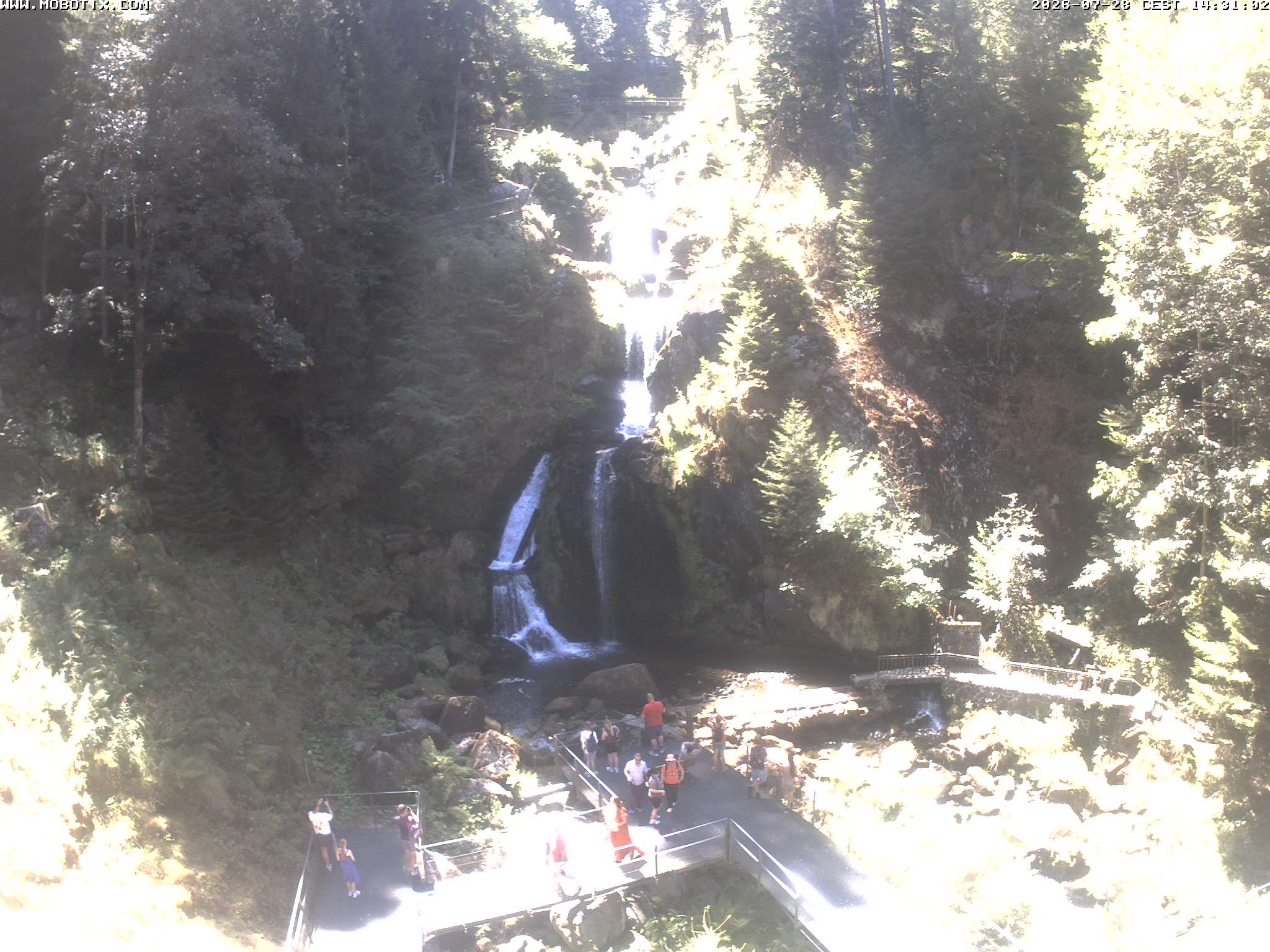 Archiv Foto Webcam Triberg Wasserfälle im Schwarzwald