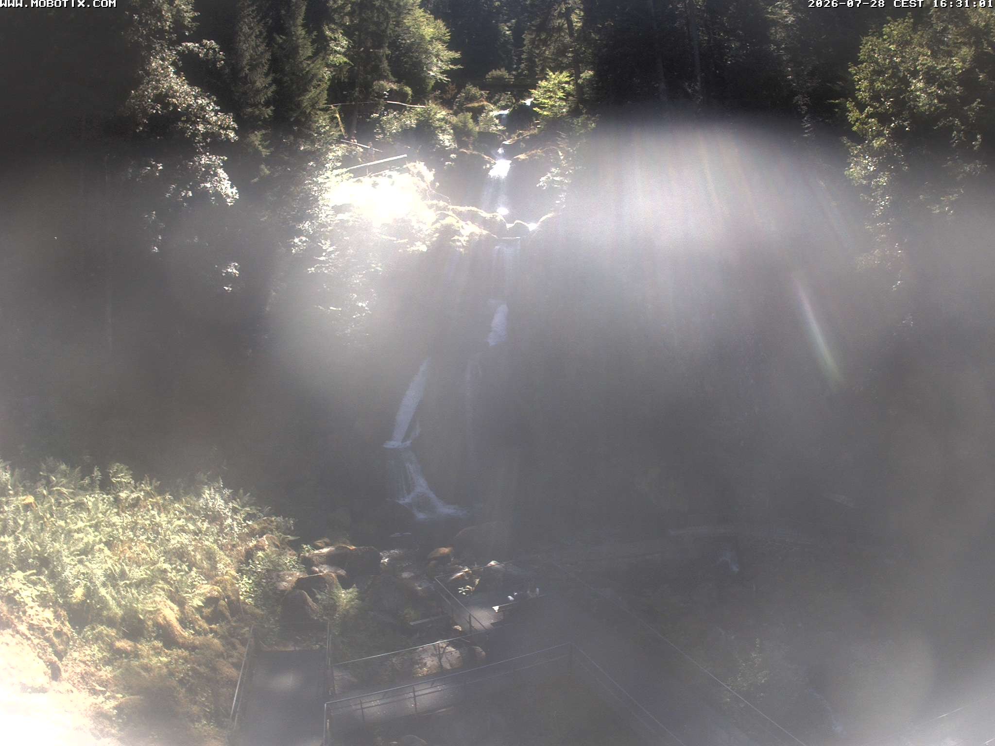 Archiv Foto Webcam Triberg Wasserfälle im Schwarzwald