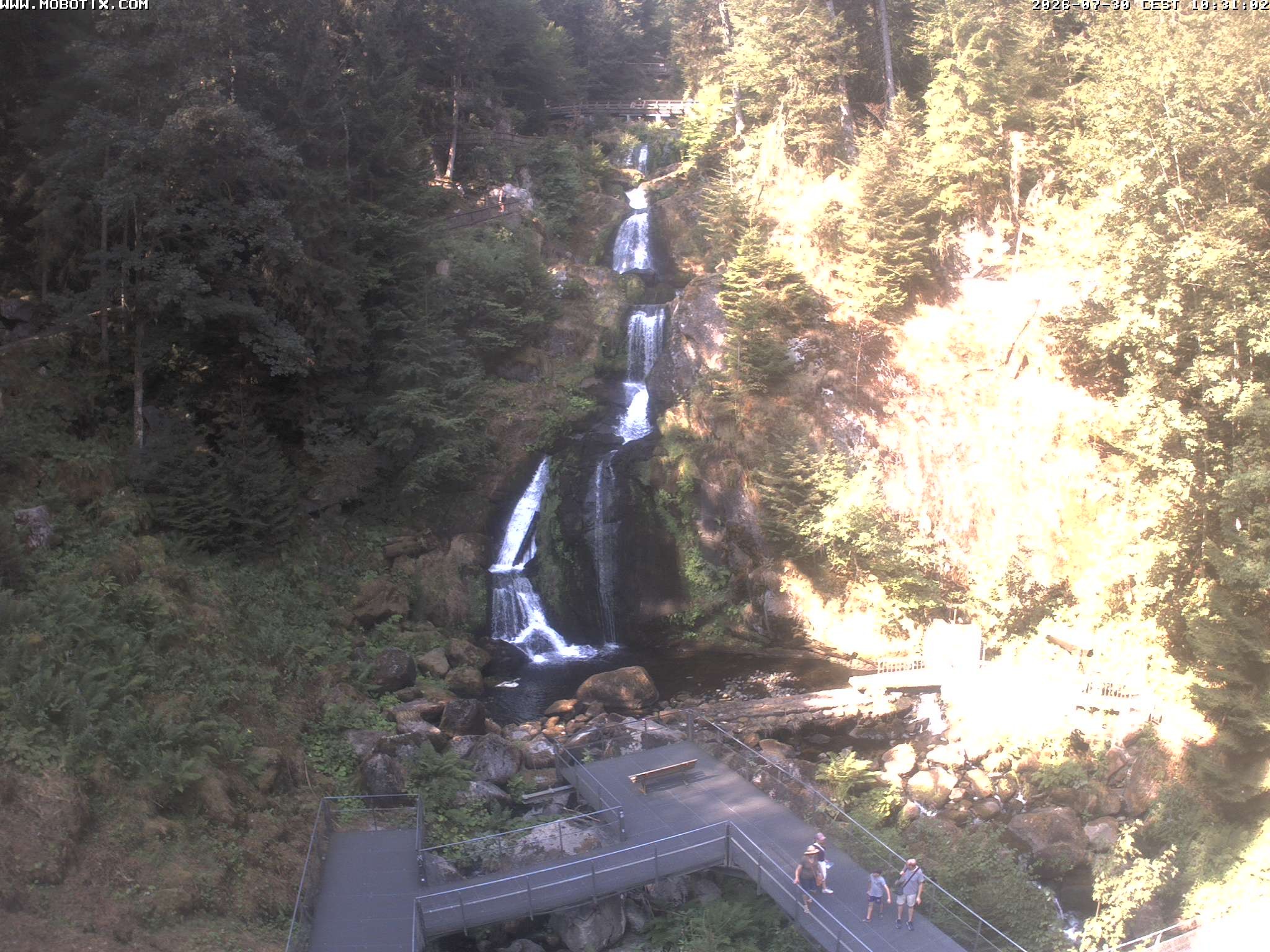 Archiv Foto Webcam Triberg Wasserfälle im Schwarzwald