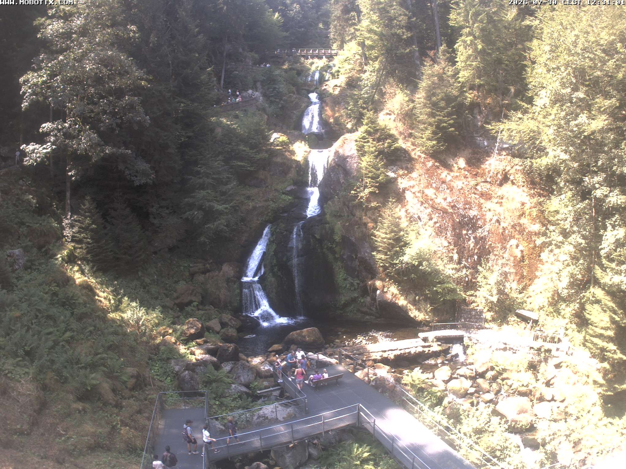 Archiv Foto Webcam Triberg Wasserfälle im Schwarzwald
