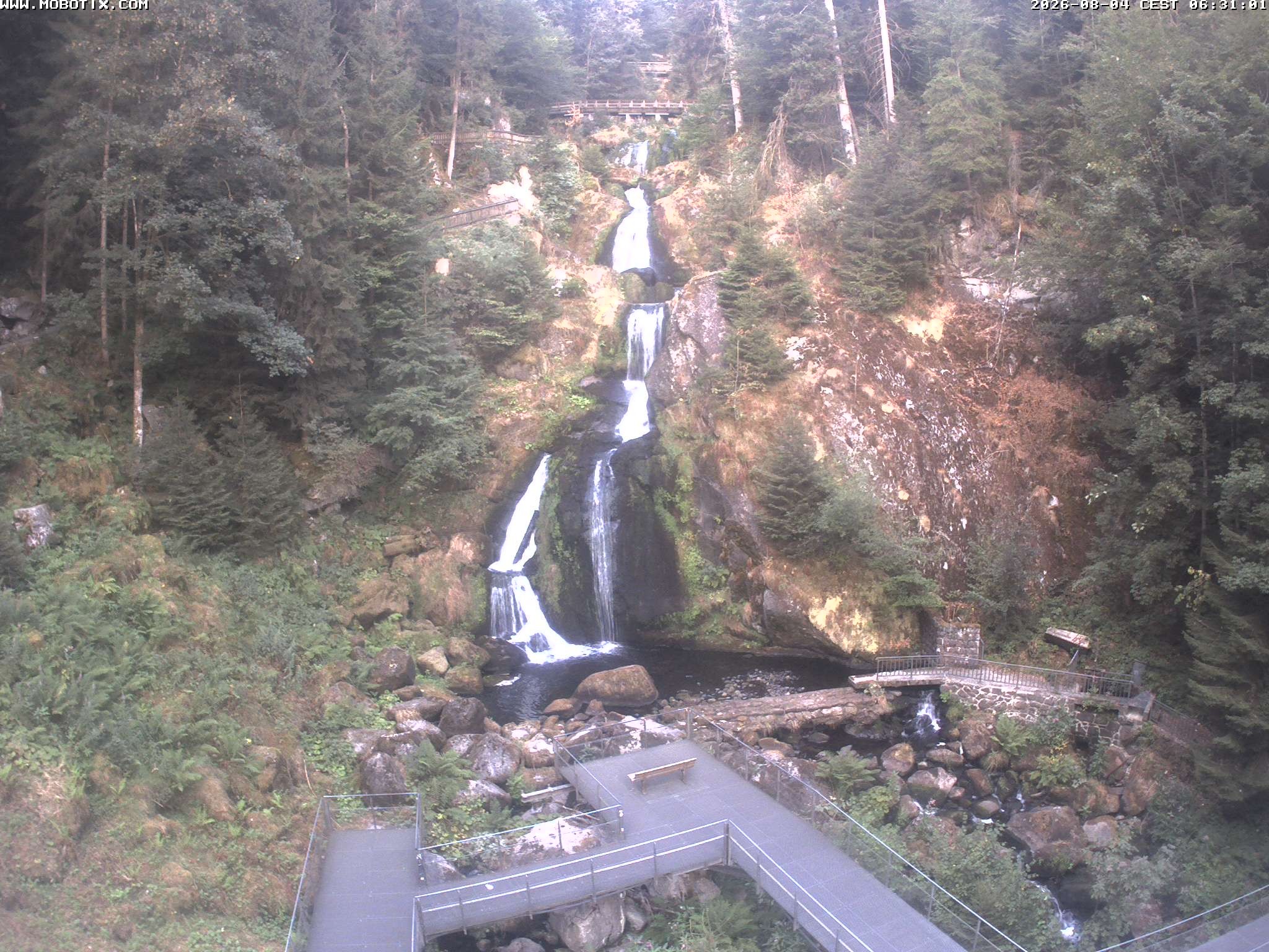 Archived image Webcam Triberg (Black Forest): Waterfalls