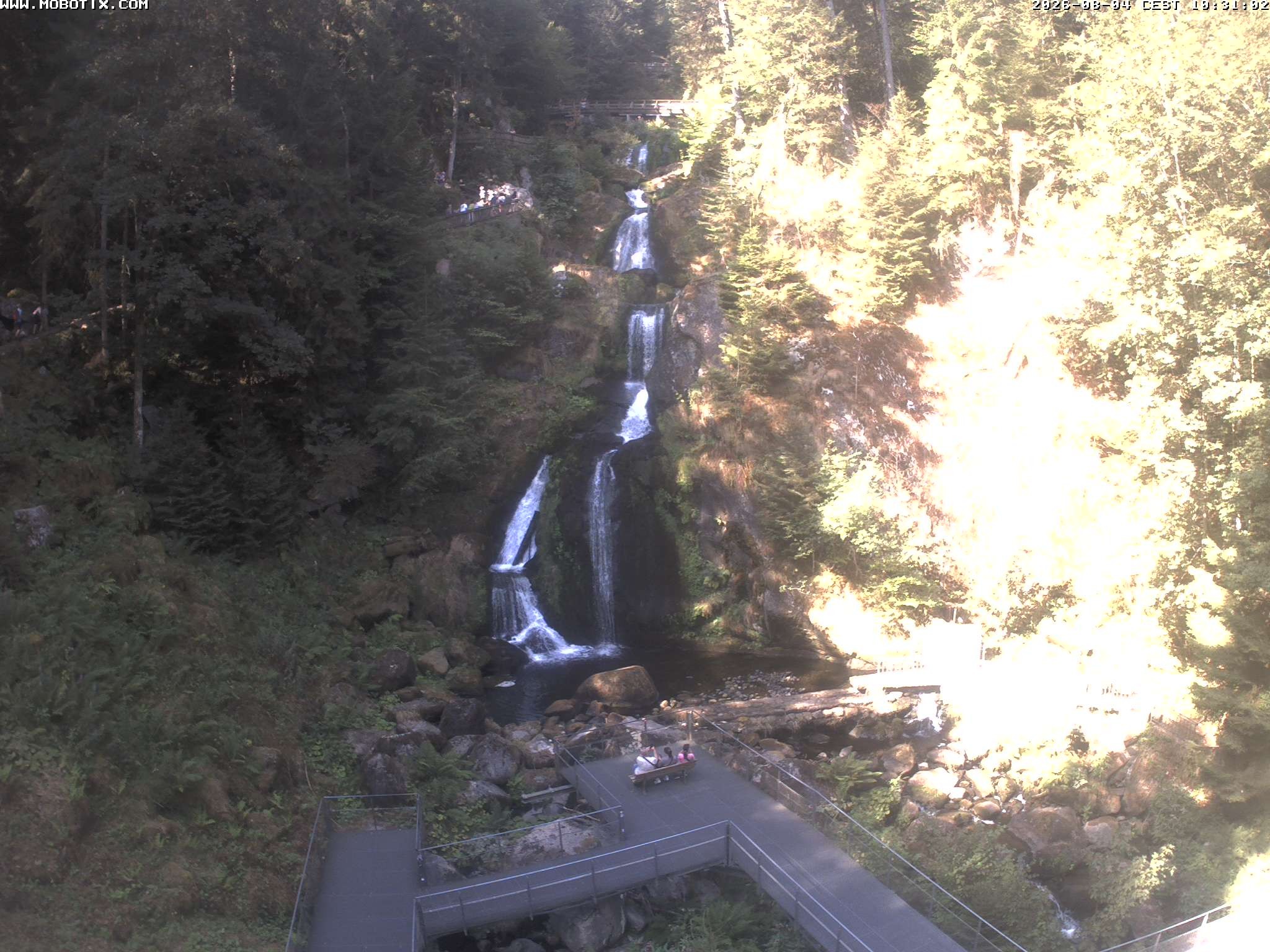 Archived image Webcam Triberg (Black Forest): Waterfalls