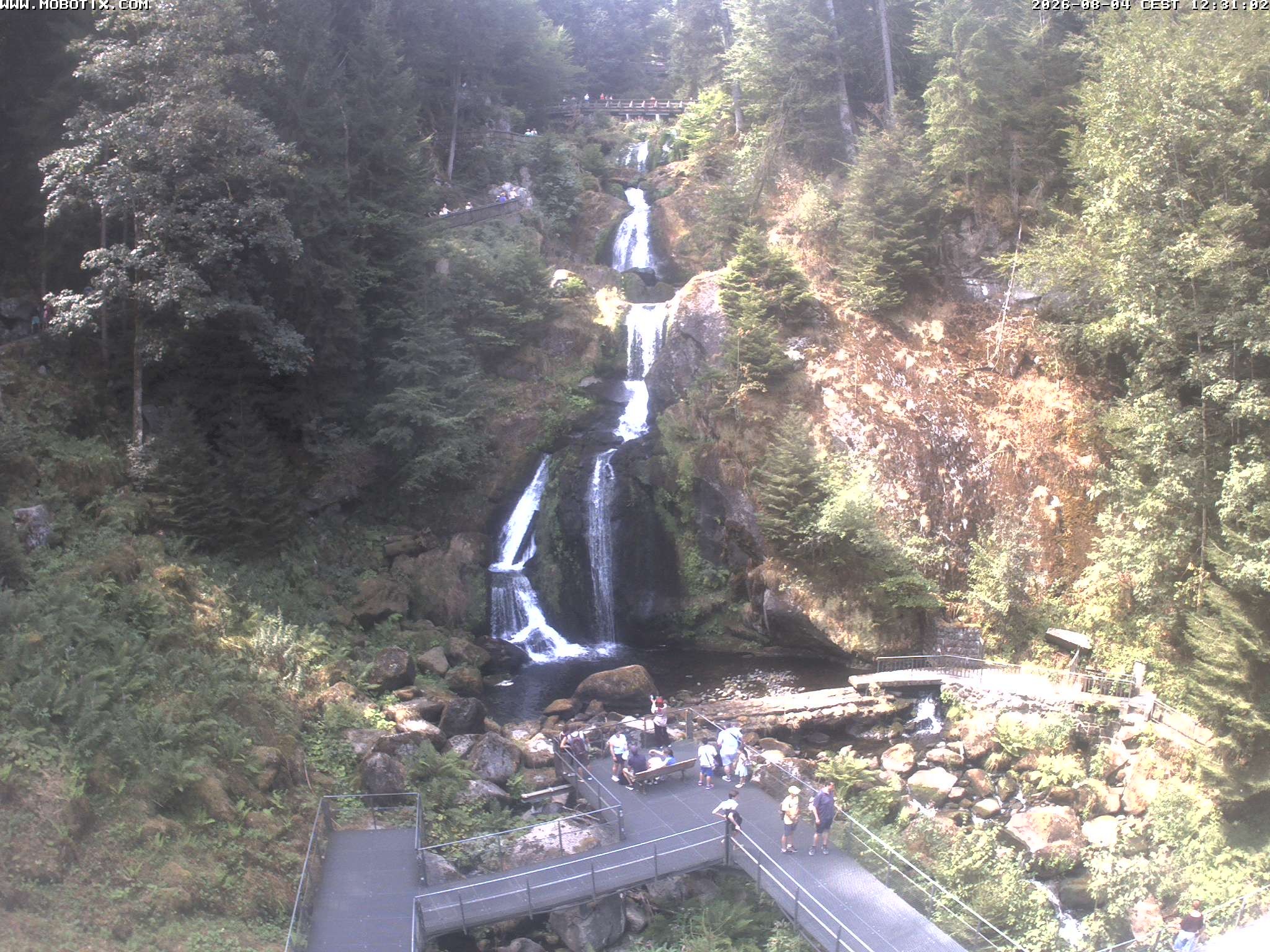 Archived image Webcam Triberg (Black Forest): Waterfalls