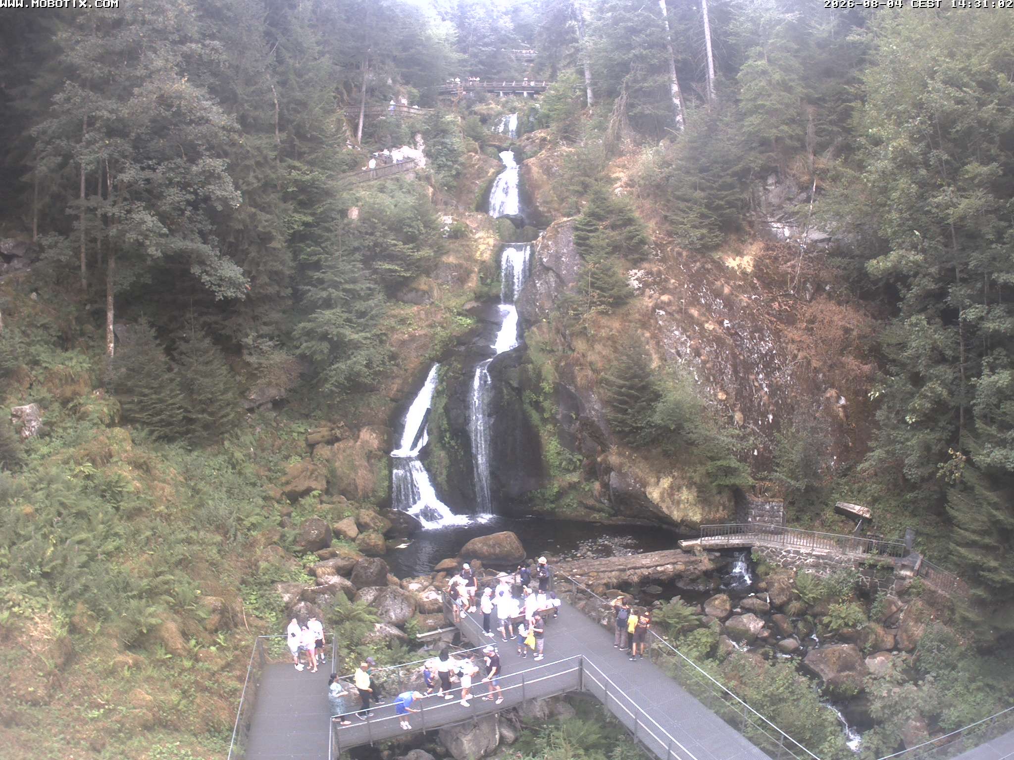 Archived image Webcam Triberg (Black Forest): Waterfalls