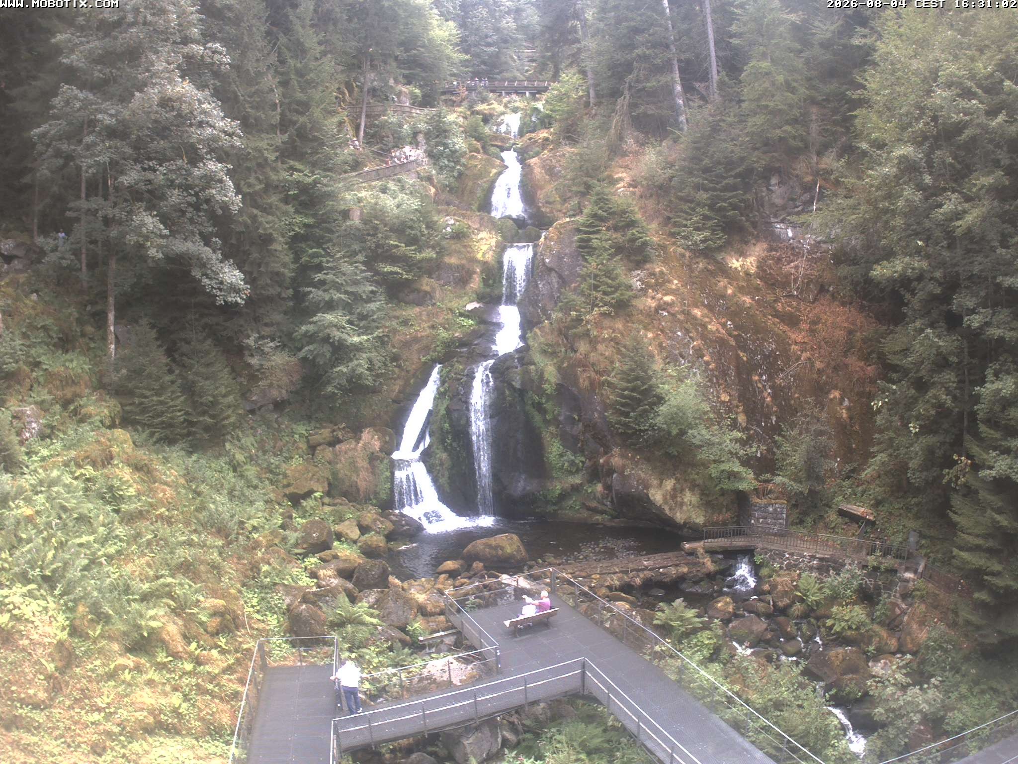 Archived image Webcam Triberg (Black Forest): Waterfalls