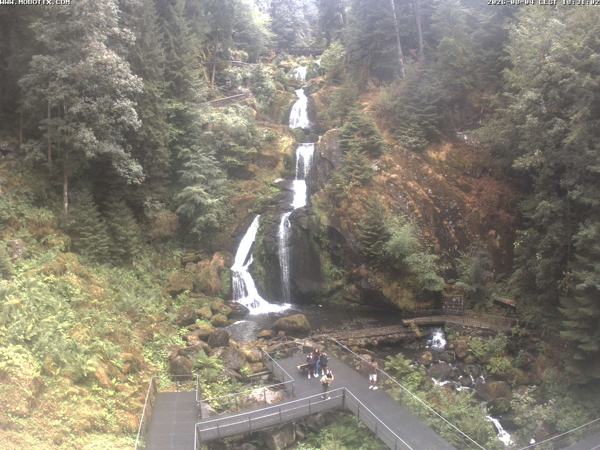 Archived image Webcam Triberg (Black Forest): Waterfalls