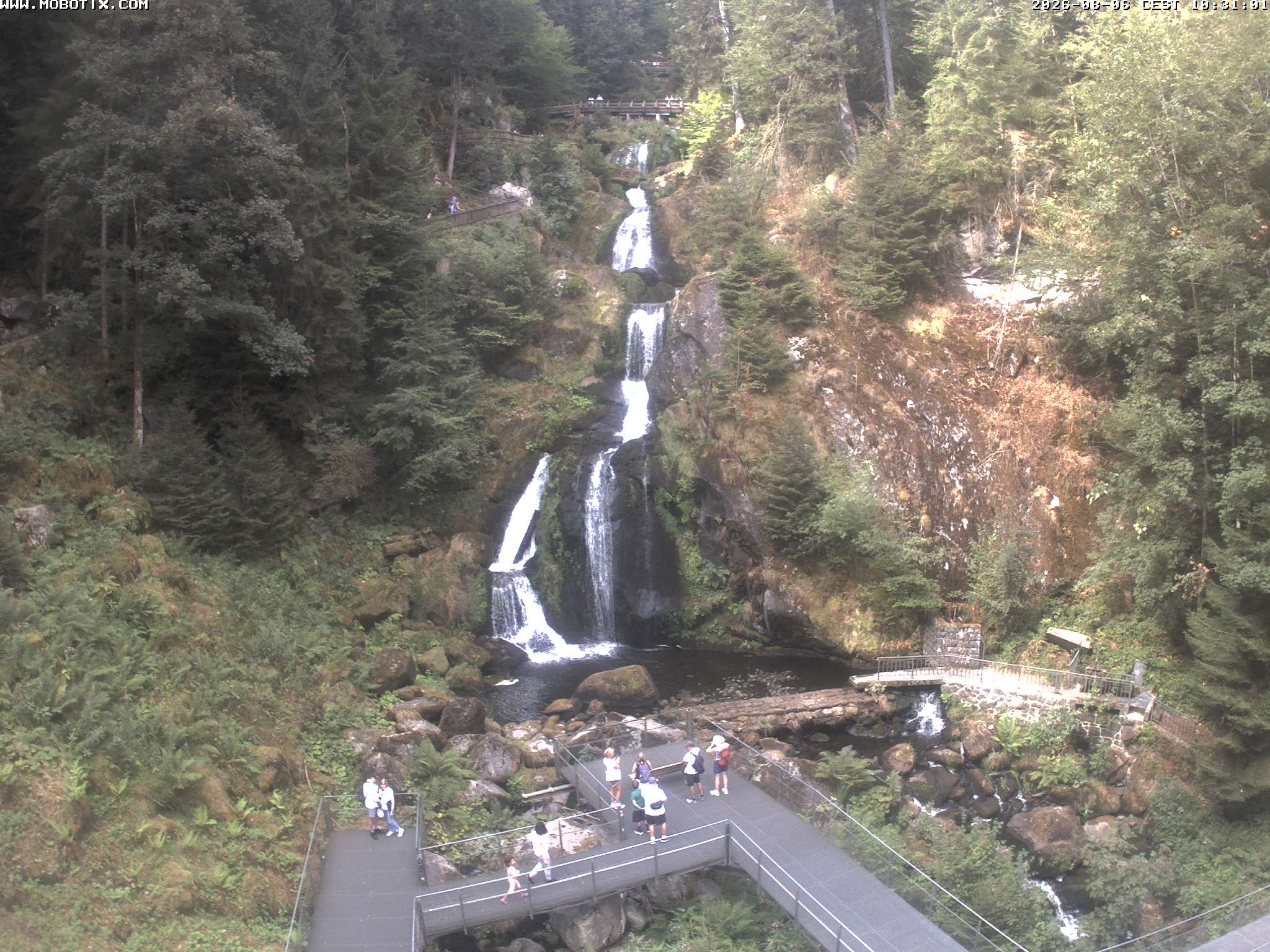 Archiv Foto Webcam Triberg Wasserfälle im Schwarzwald