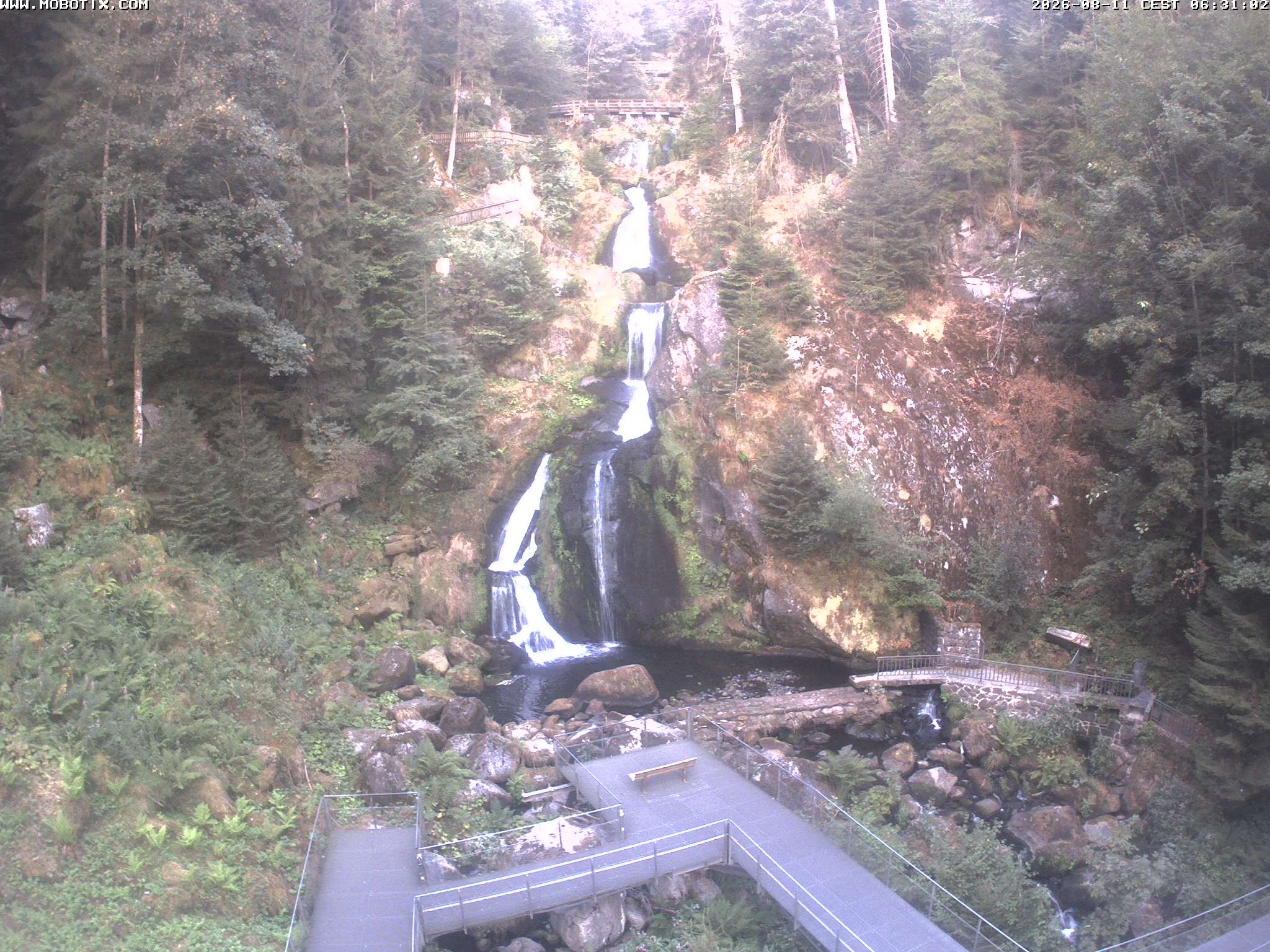Archiv Foto Webcam Triberg Wasserfälle im Schwarzwald