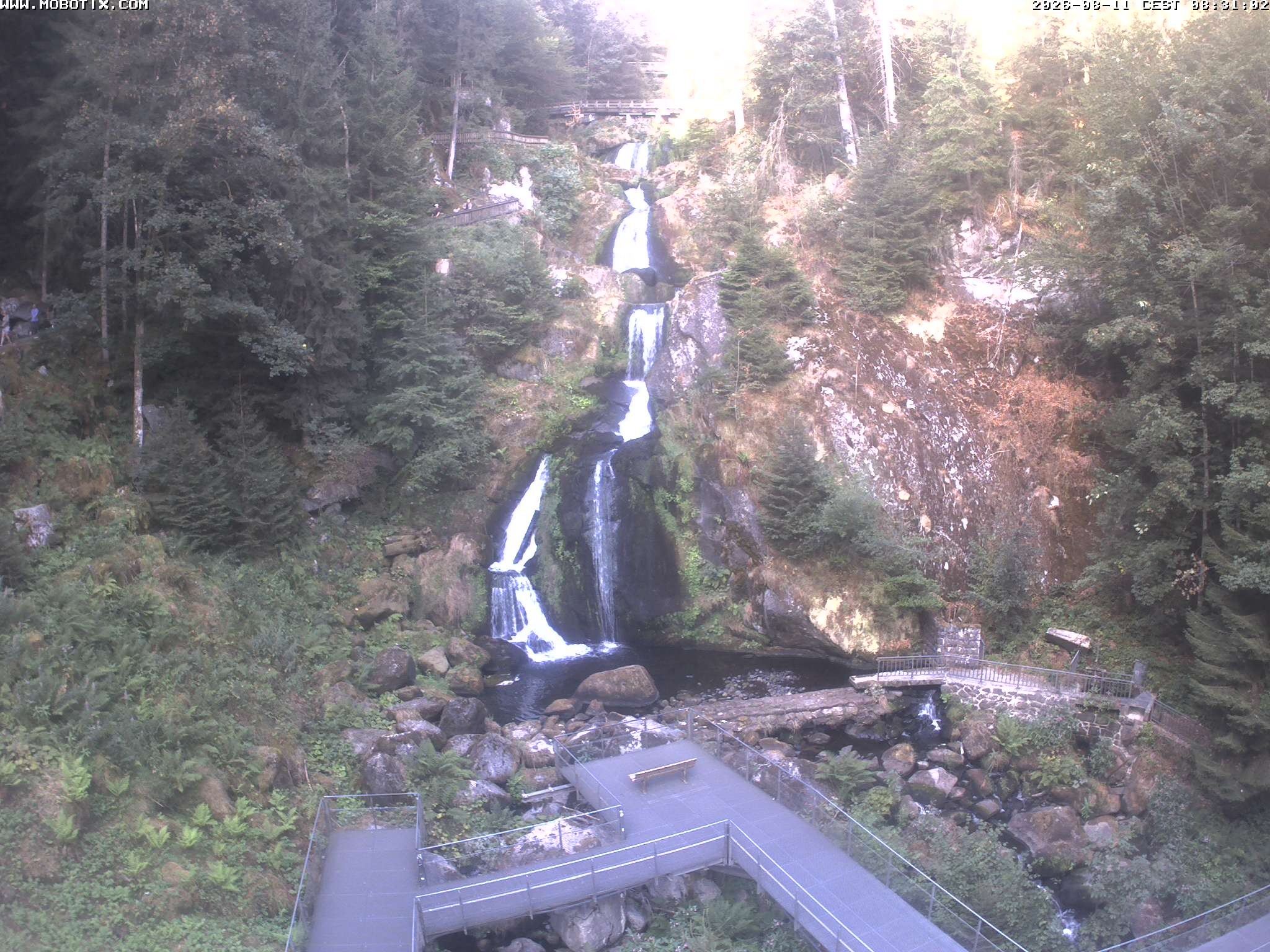 Archiv Foto Webcam Triberg Wasserfälle im Schwarzwald