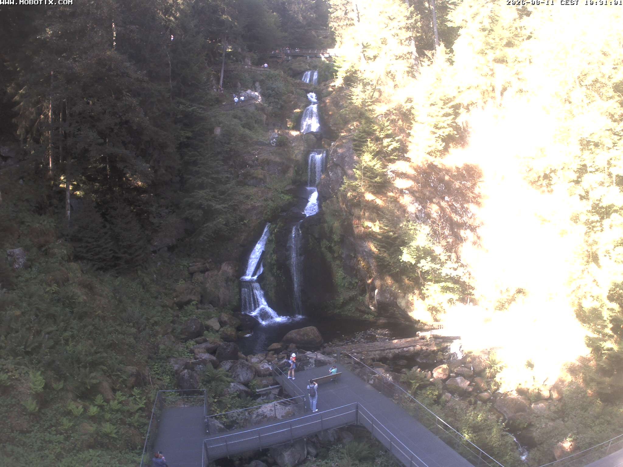 Archiv Foto Webcam Triberg Wasserfälle im Schwarzwald