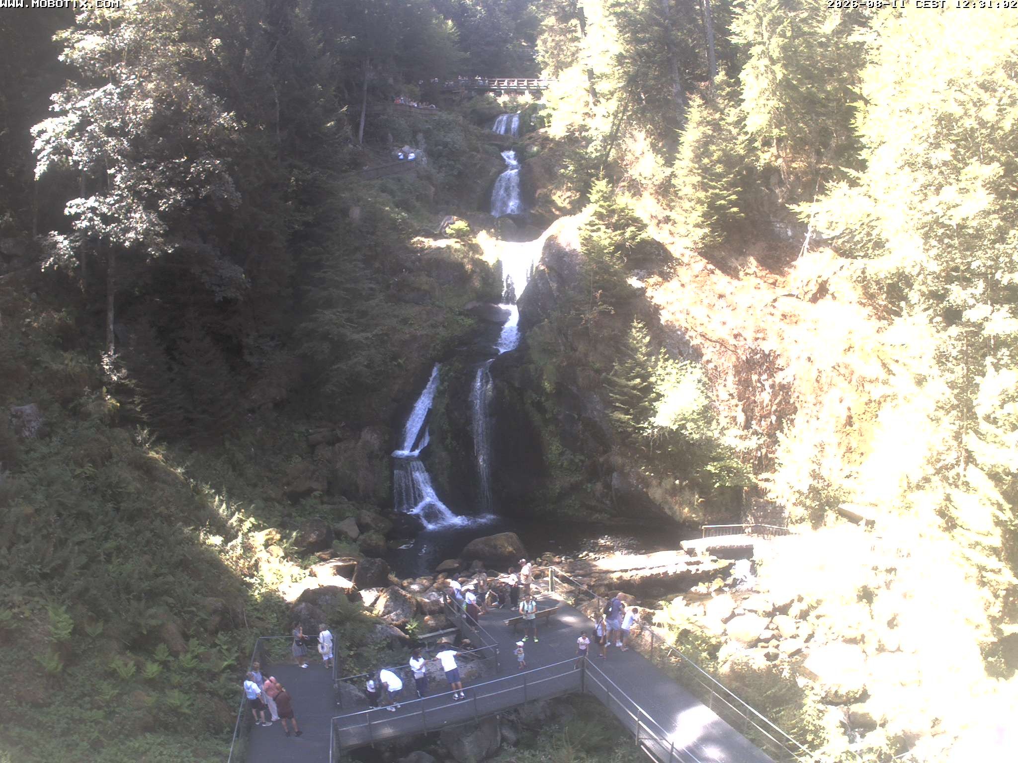 Archiv Foto Webcam Triberg Wasserfälle im Schwarzwald