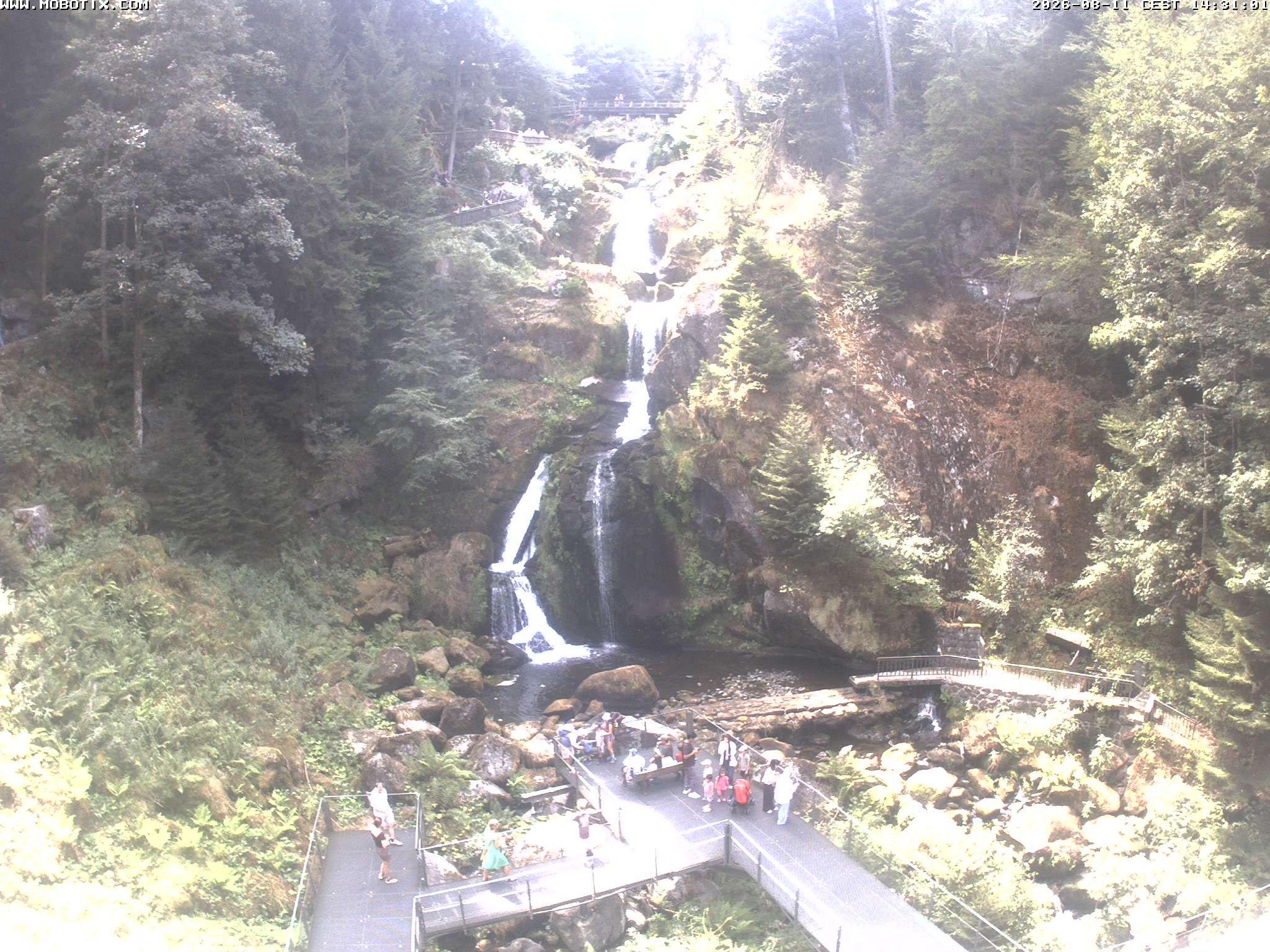 Archiv Foto Webcam Triberg Wasserfälle im Schwarzwald
