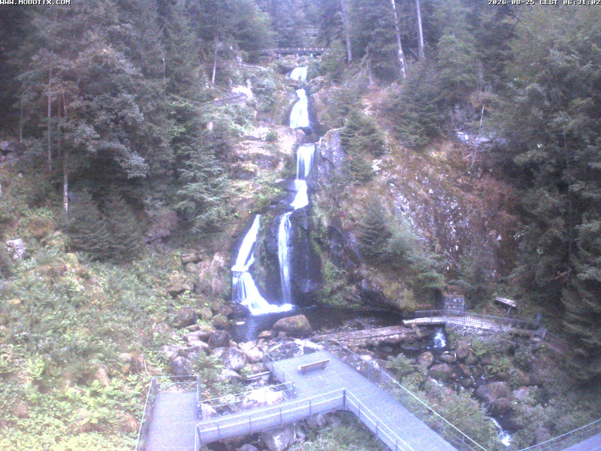 Archiv Foto Webcam Triberg Wasserfälle im Schwarzwald