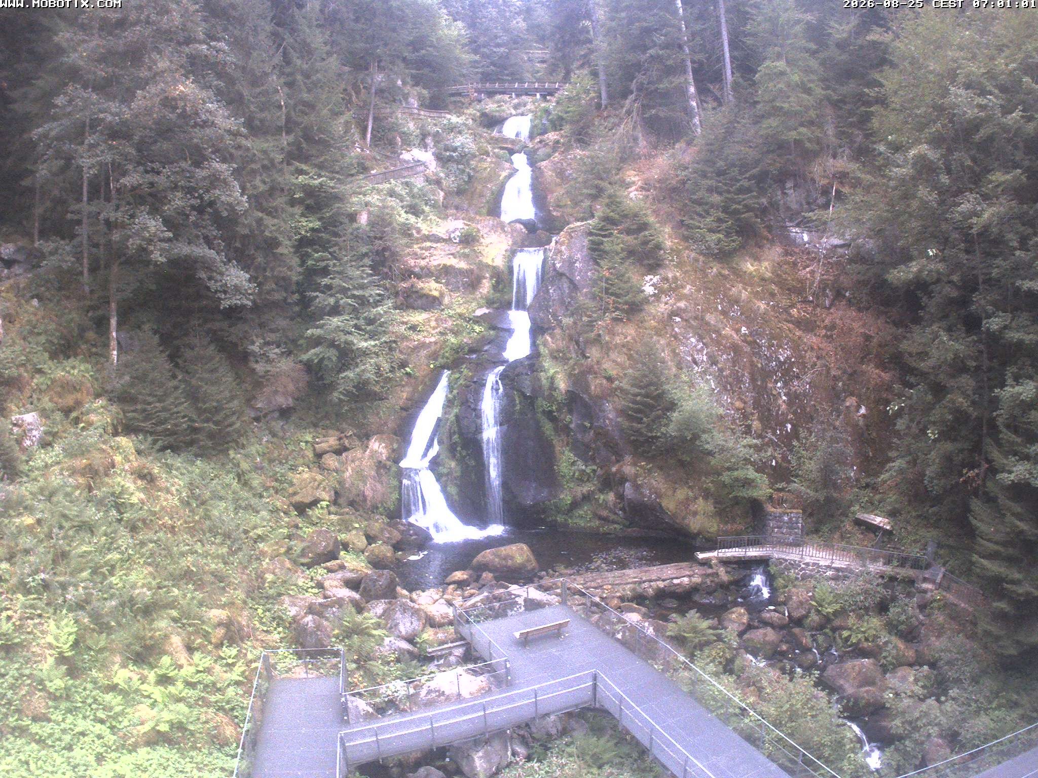 Archiv Foto Webcam Triberg Wasserfälle im Schwarzwald