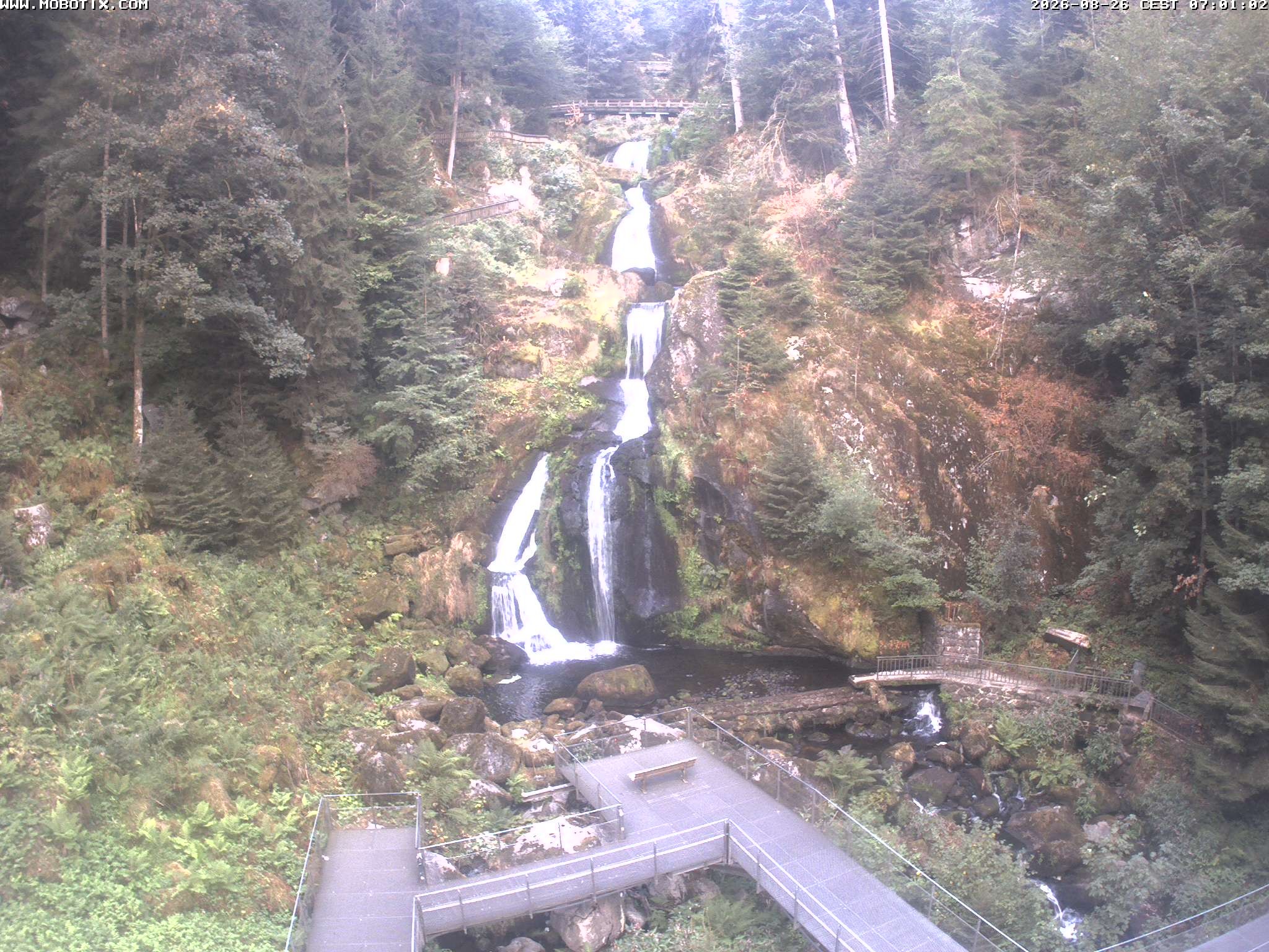 Archiv Foto Webcam Triberg Wasserfälle im Schwarzwald