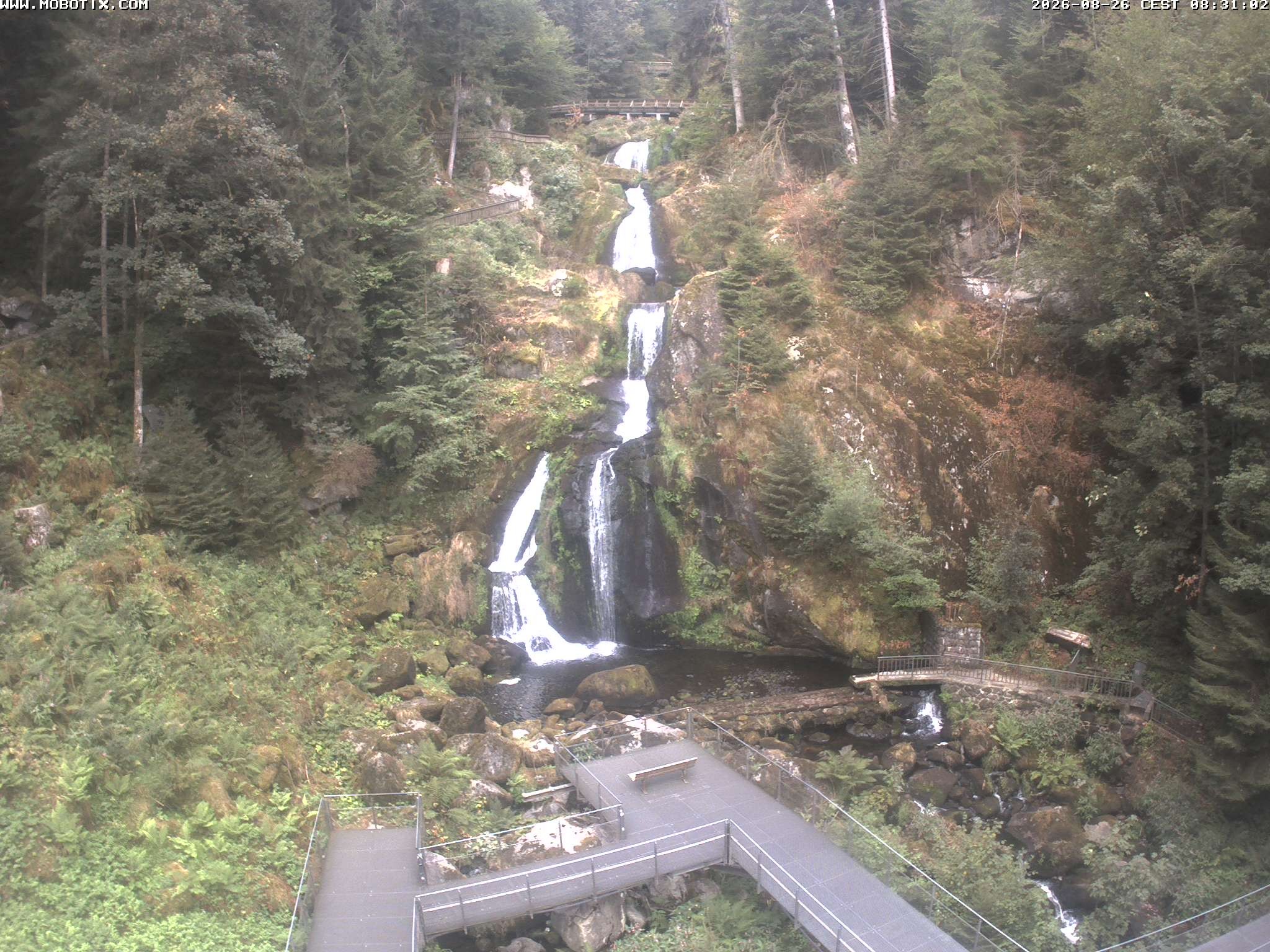 Archiv Foto Webcam Triberg Wasserfälle im Schwarzwald