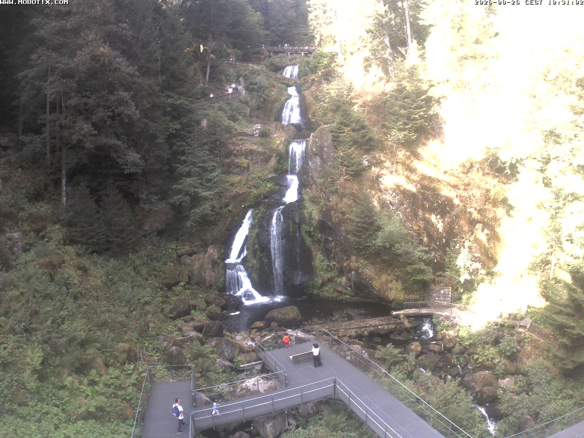 Archiv Foto Webcam Triberg Wasserfälle im Schwarzwald