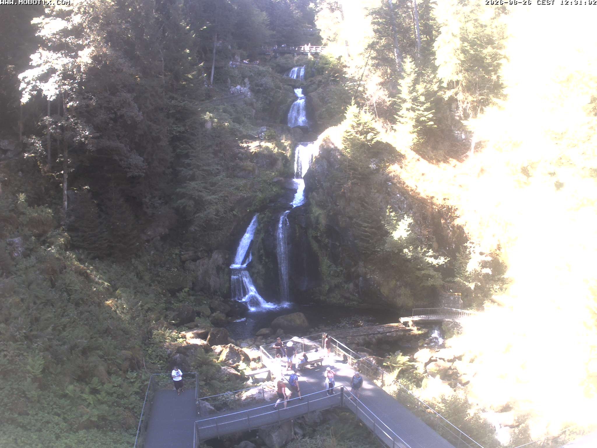 Archiv Foto Webcam Triberg Wasserfälle im Schwarzwald