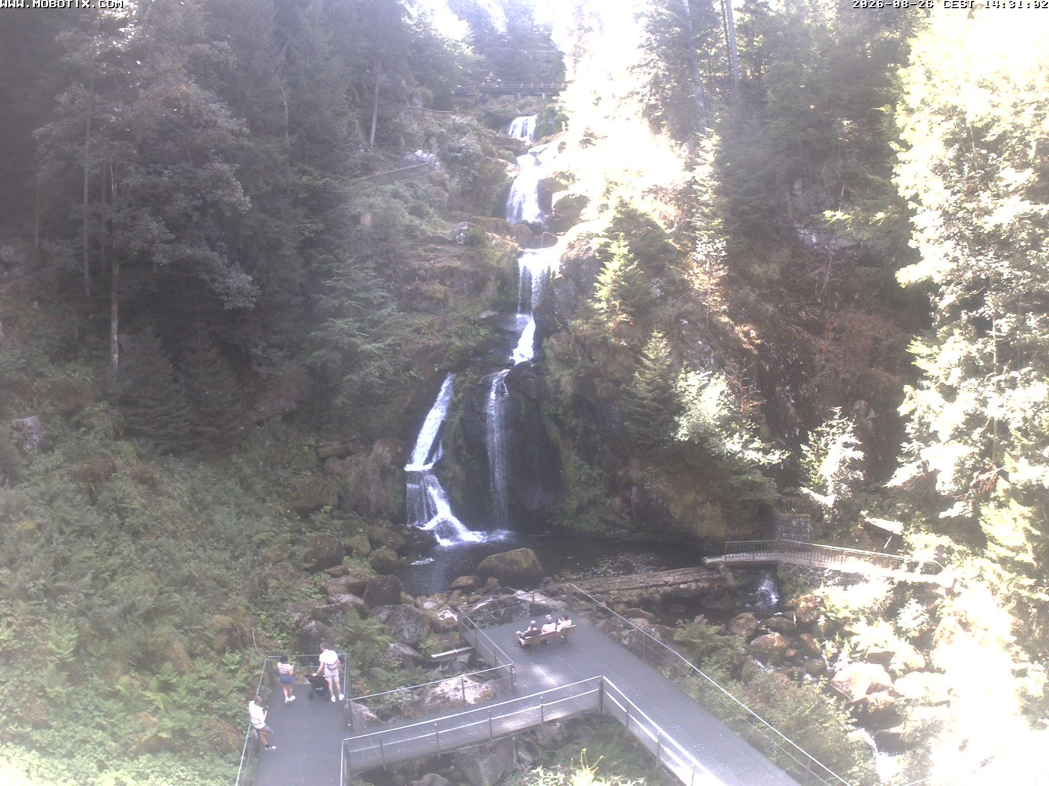 Archiv Foto Webcam Triberg Wasserfälle im Schwarzwald