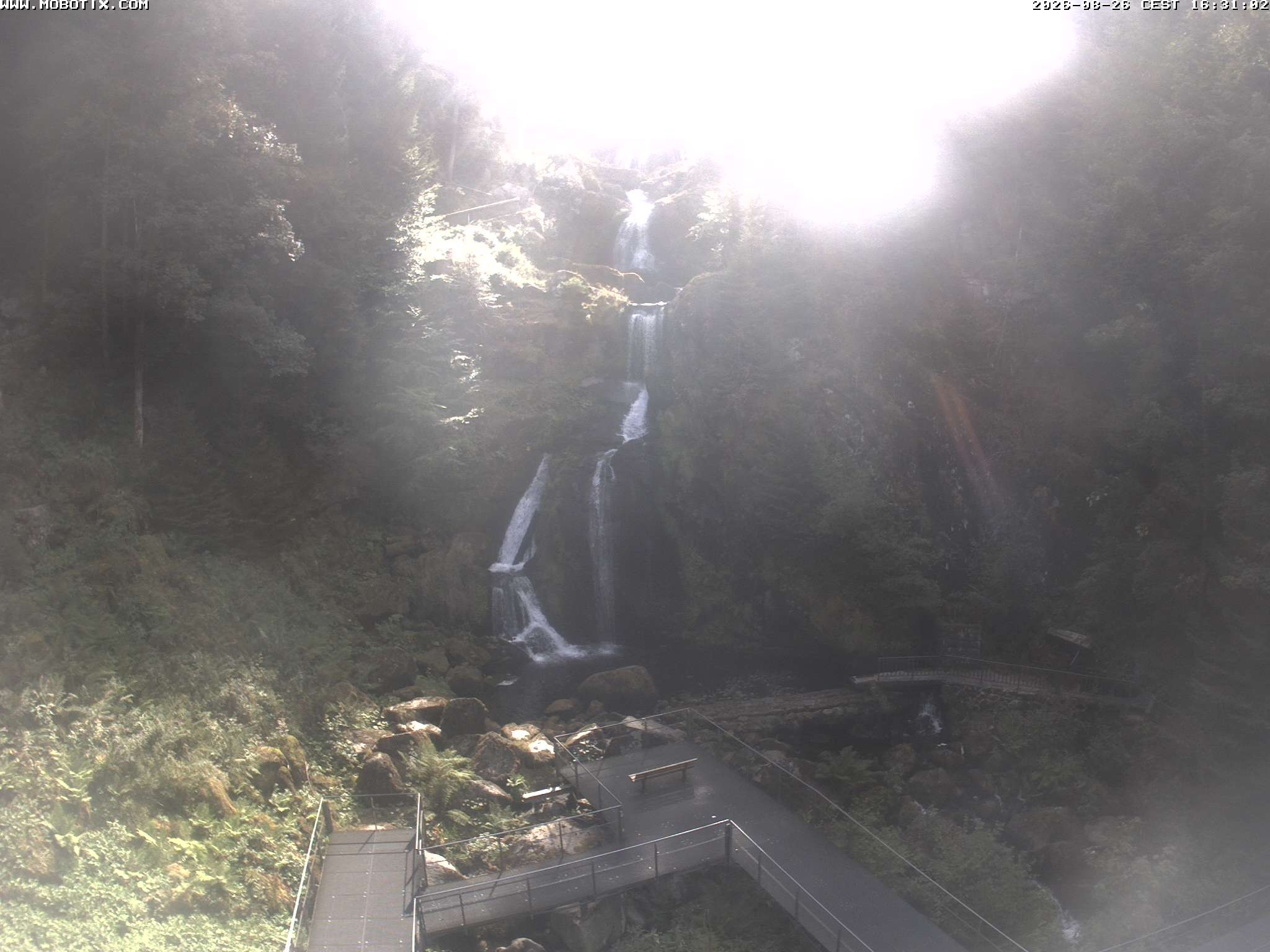 Archiv Foto Webcam Triberg Wasserfälle im Schwarzwald