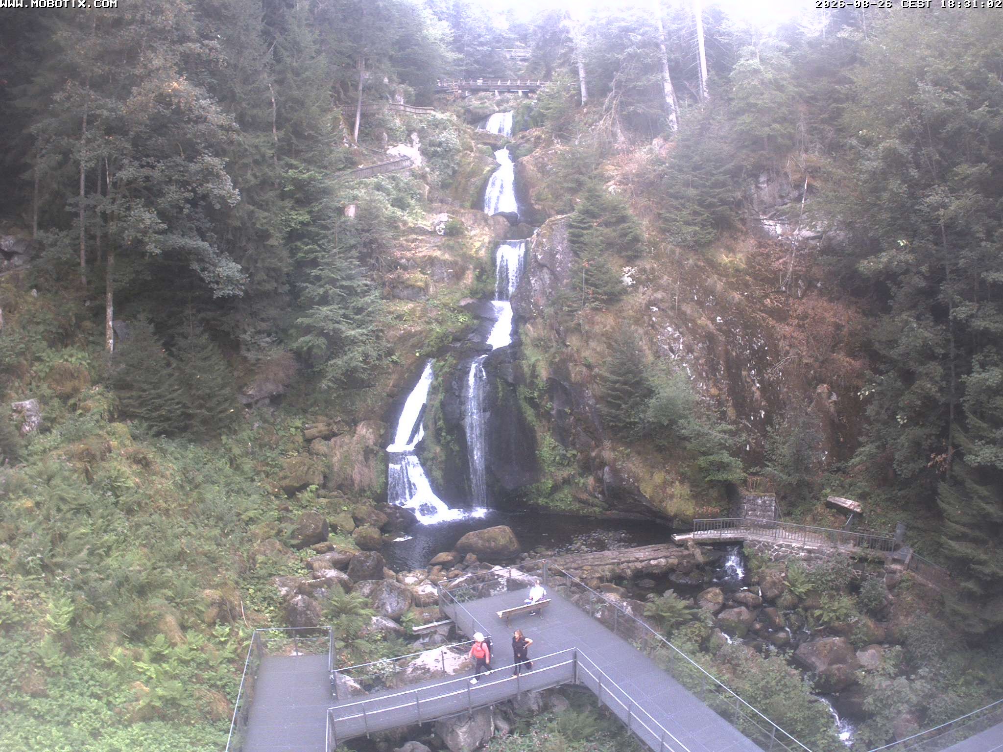 Archived image Webcam Triberg (Black Forest): Waterfalls