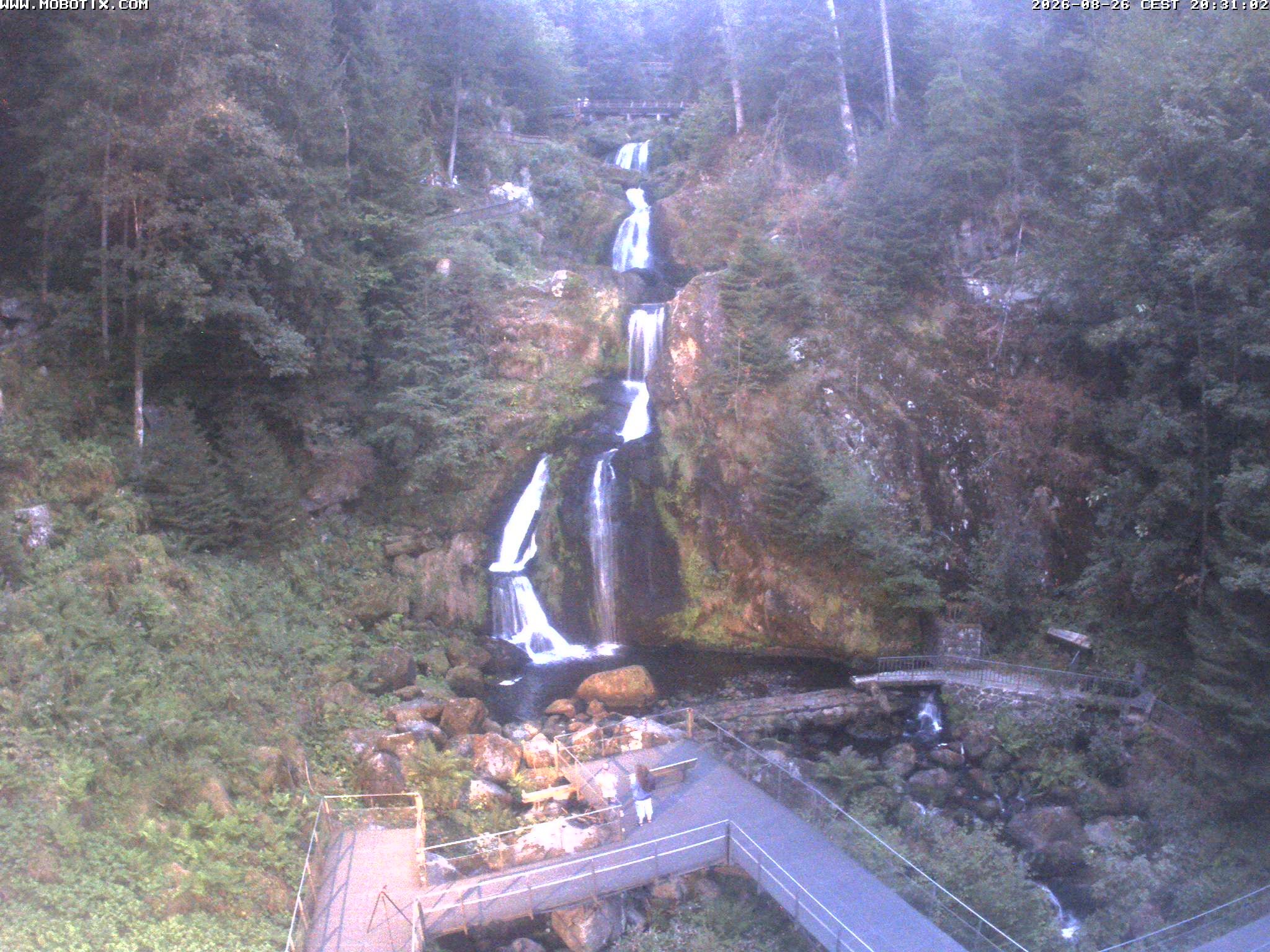 Archived image Webcam Triberg (Black Forest): Waterfalls