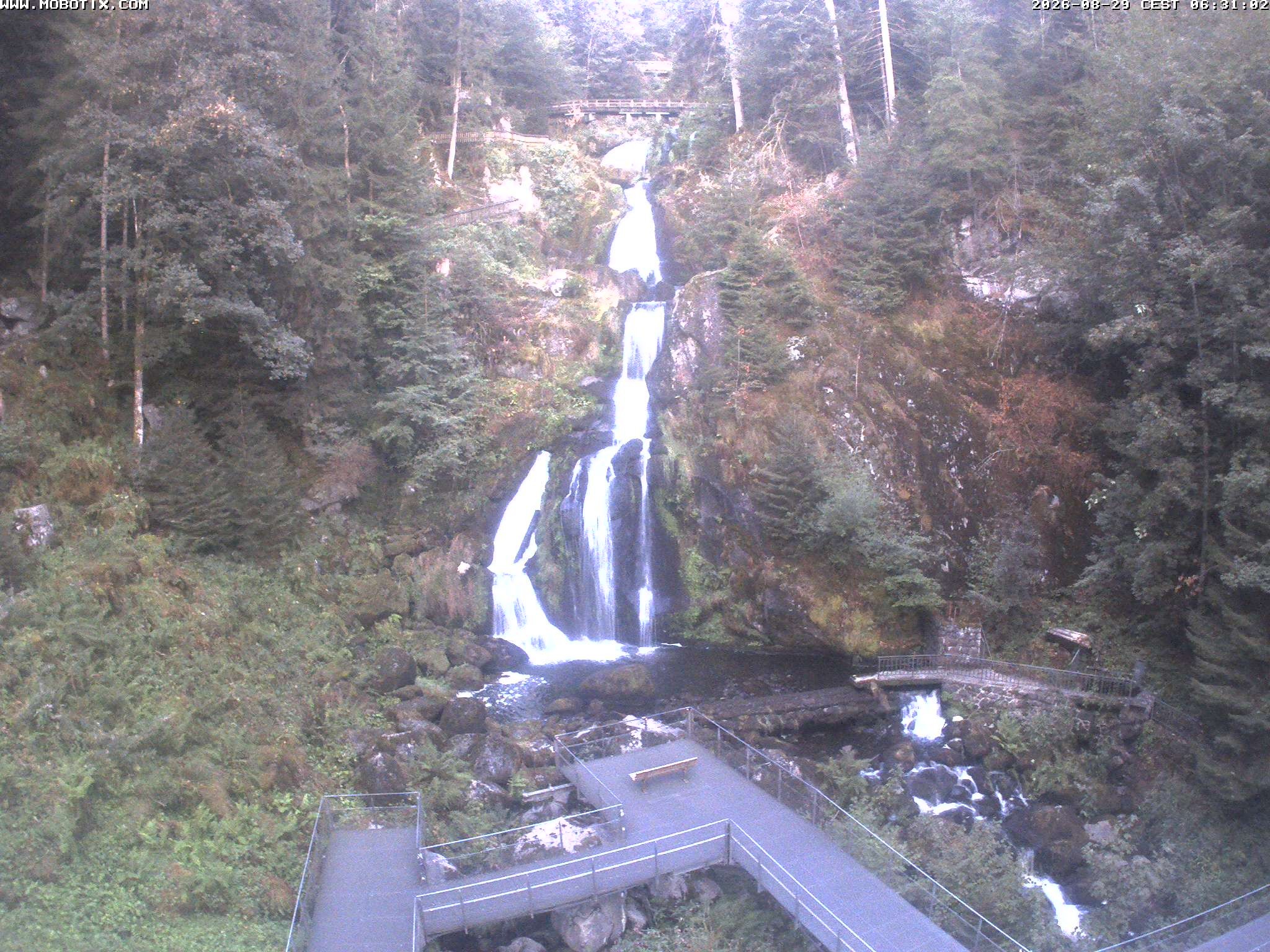 Archived image Webcam Triberg (Black Forest): Waterfalls